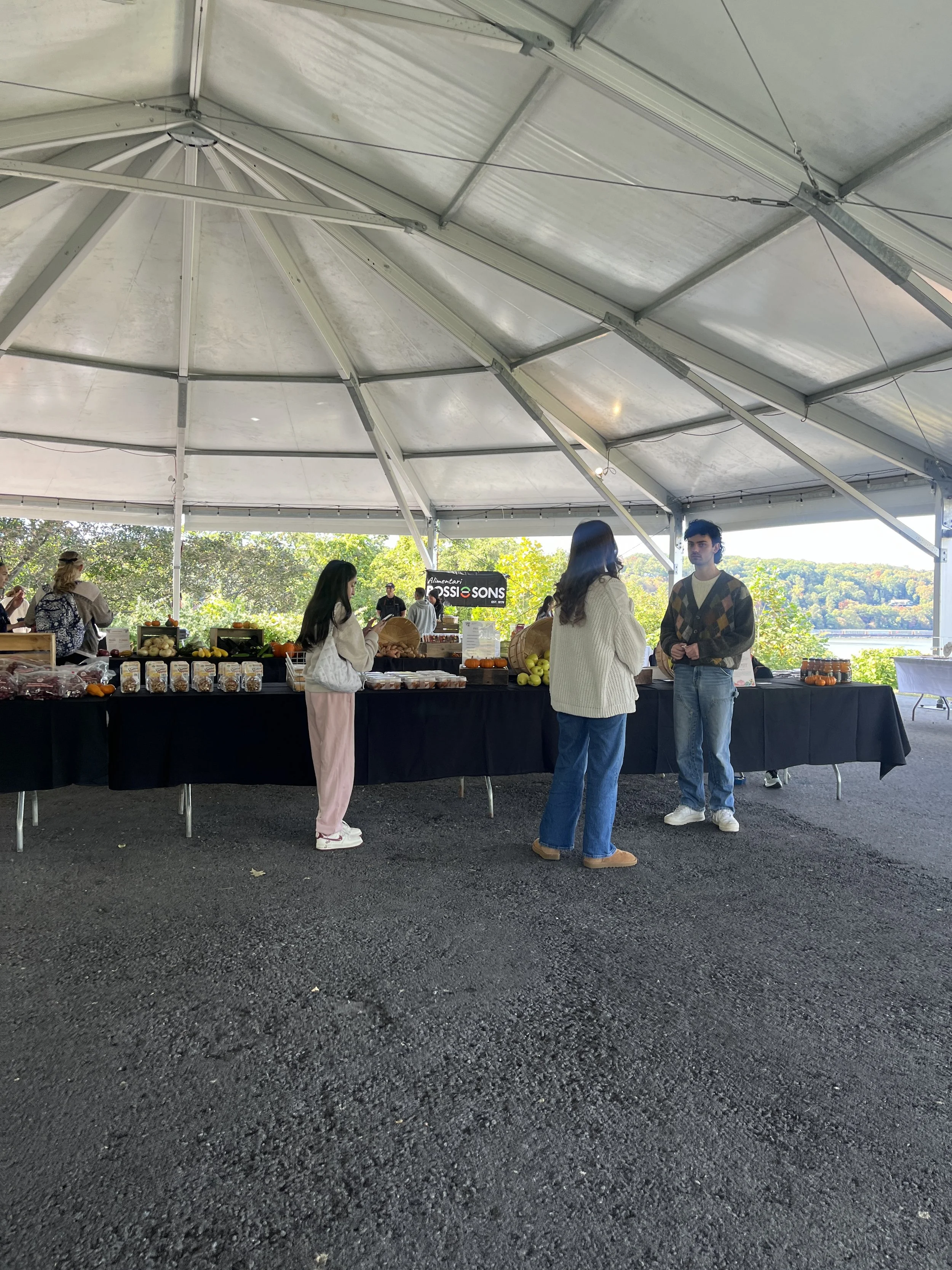 Fall Fun: Activities to Spice Up the New Season