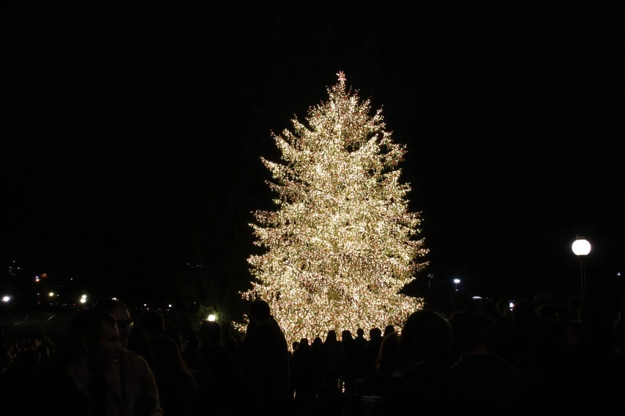 Home for the Holidays: Marist Christmas Tree Lighting Event Brings Music, Joy, and Giving Spirit