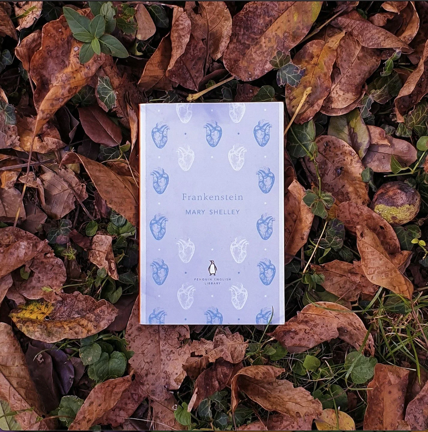 Guillermo del Toro's “Frankenstein” has Mia Goth at the Center of the Classic