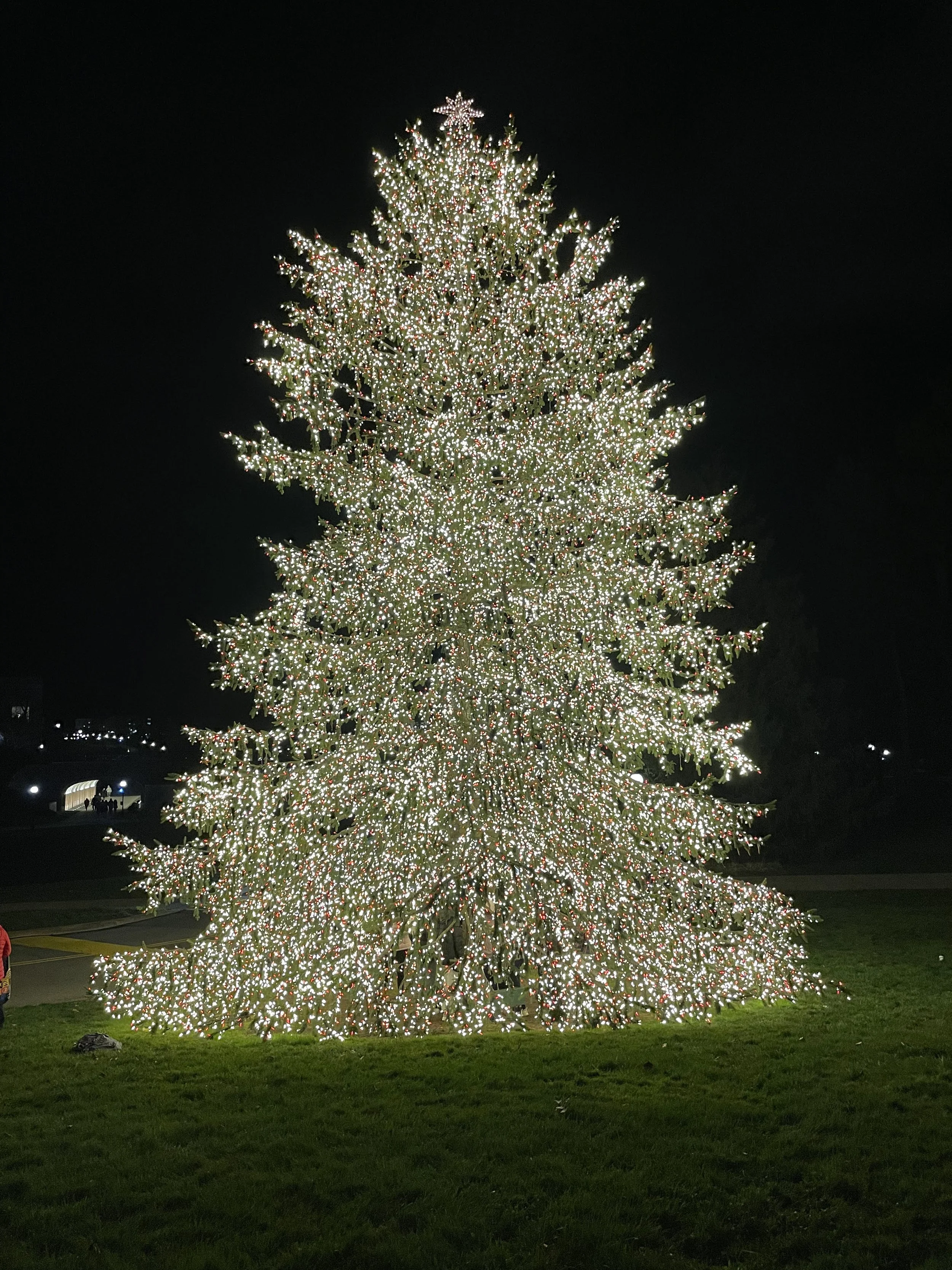 There’s More than Meets the Eye with Marist’s Department of Spiritual Life and Service