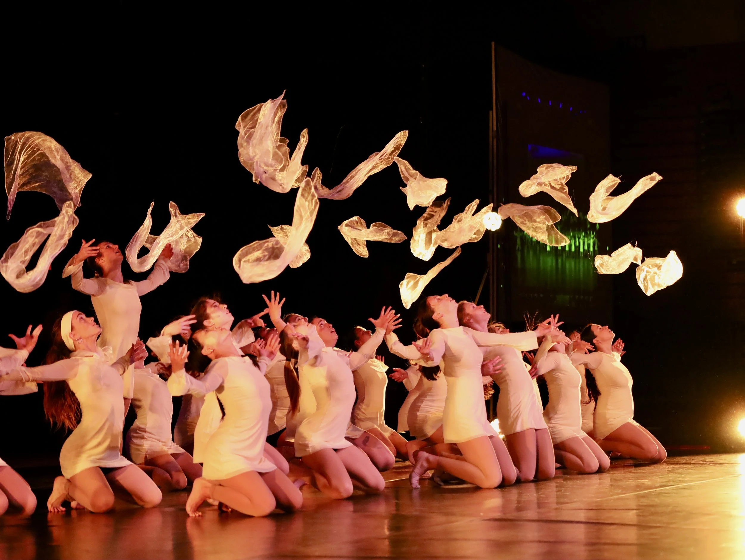 Marist Dance Ensemble Presents “Flourish”