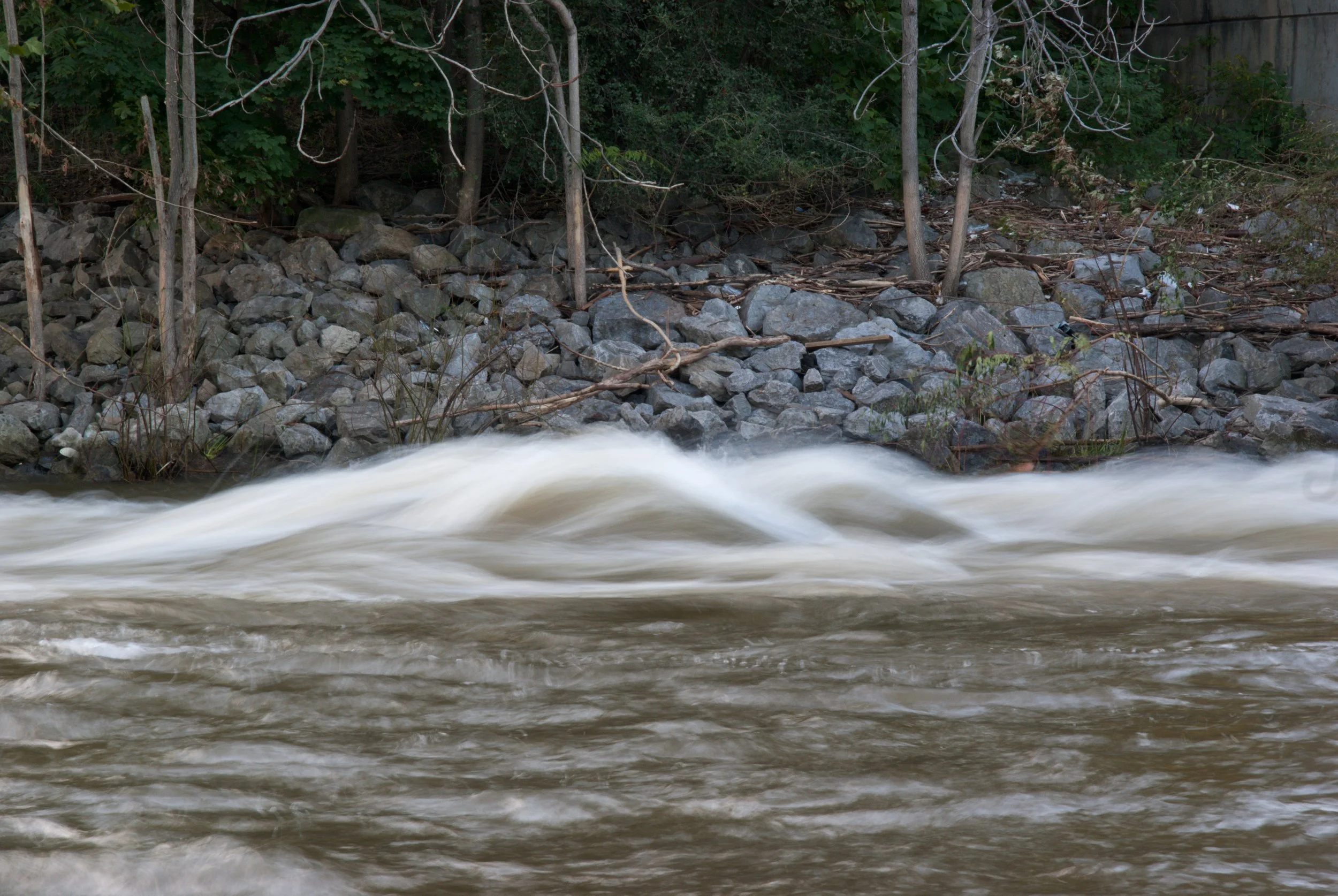 Proposed Cleanup Plan Kick-Starts a Healthier Future for Wappinger Creek  