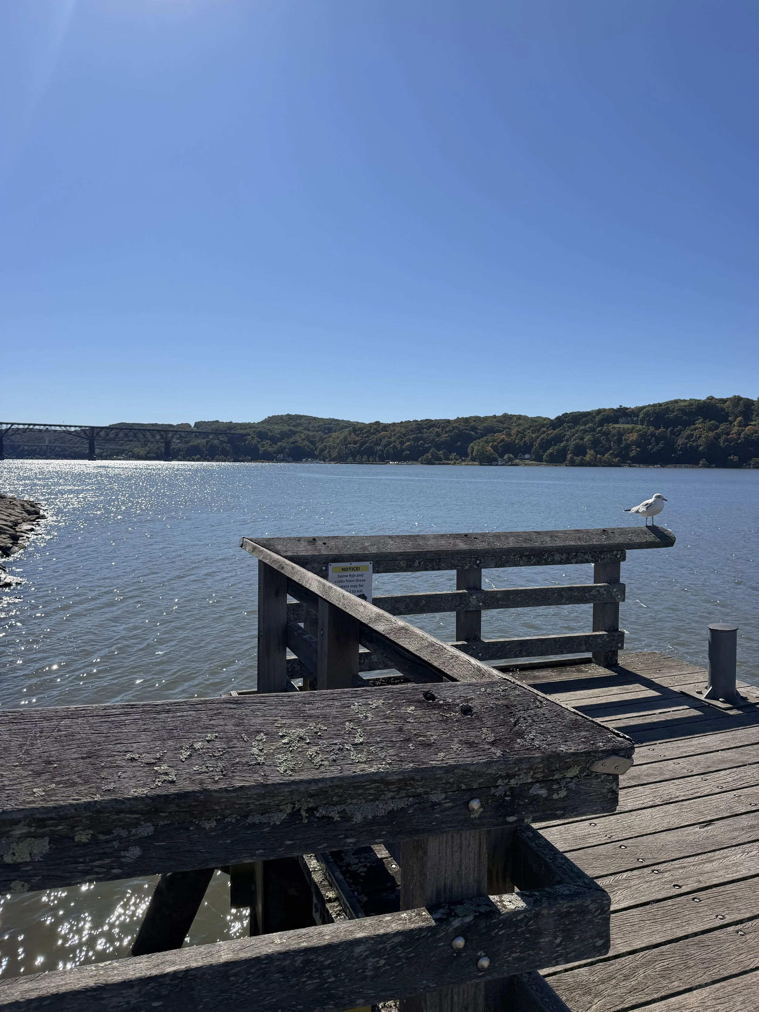 A Marist Student’s Guide to Fall in the Hudson Valley