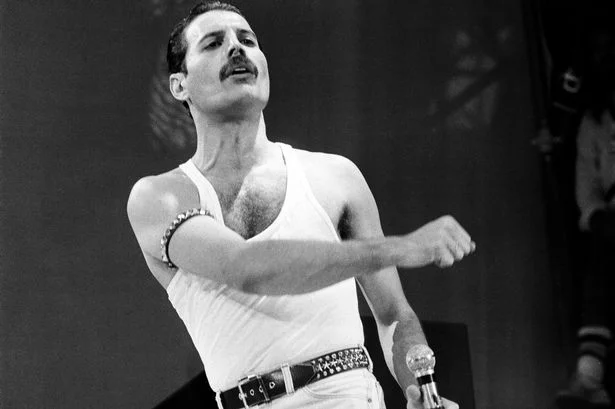 Freddie-Mercury.jpg