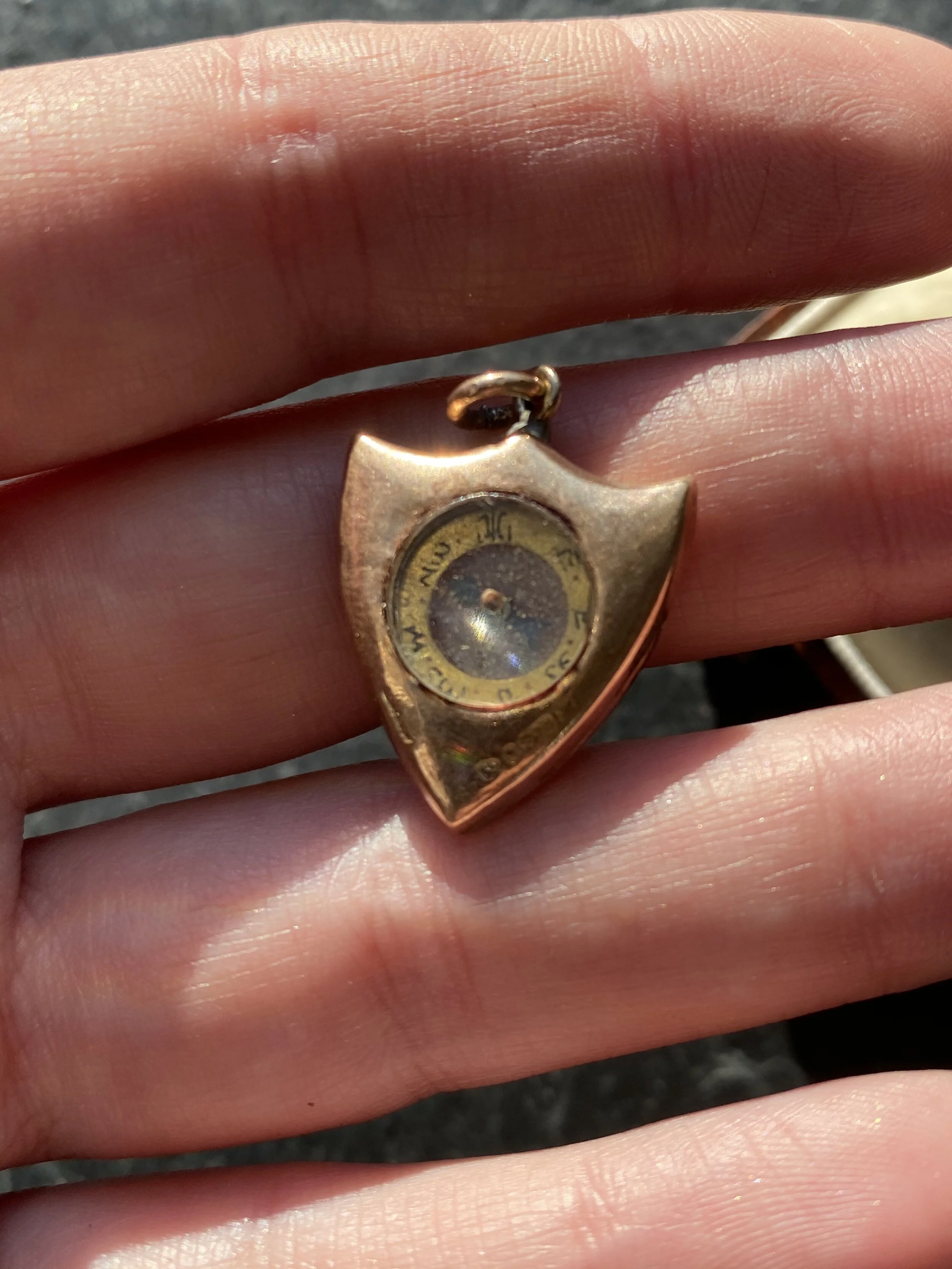 C7F9F33F-451E-434E-8EDE-0F6F0A9ADD6B