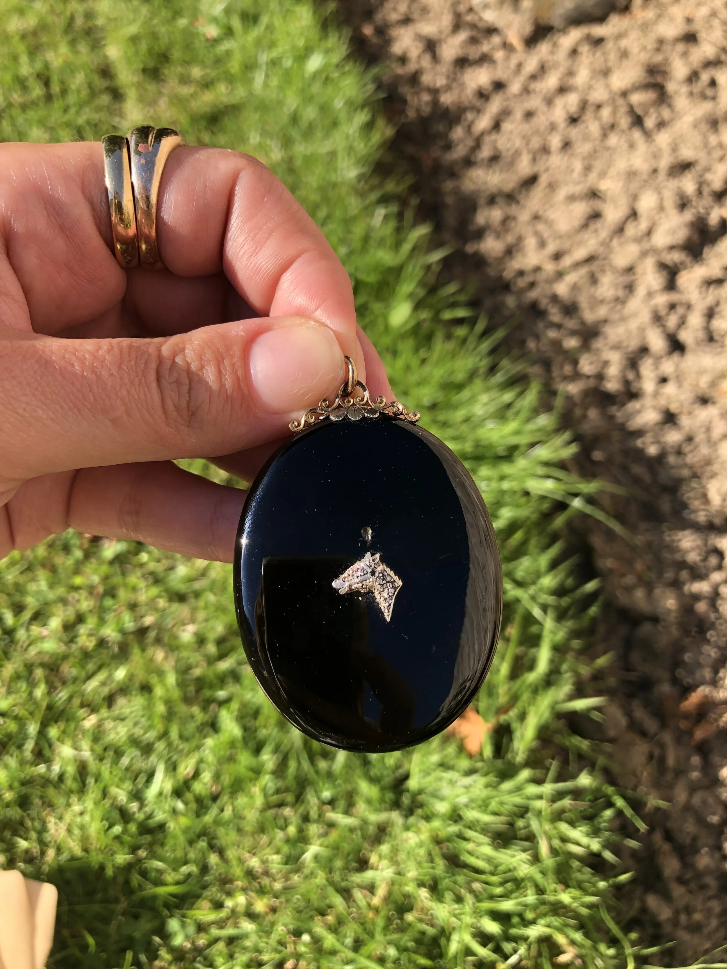 6F1B6236-DBE3-442D-B616-631C7DF2536A