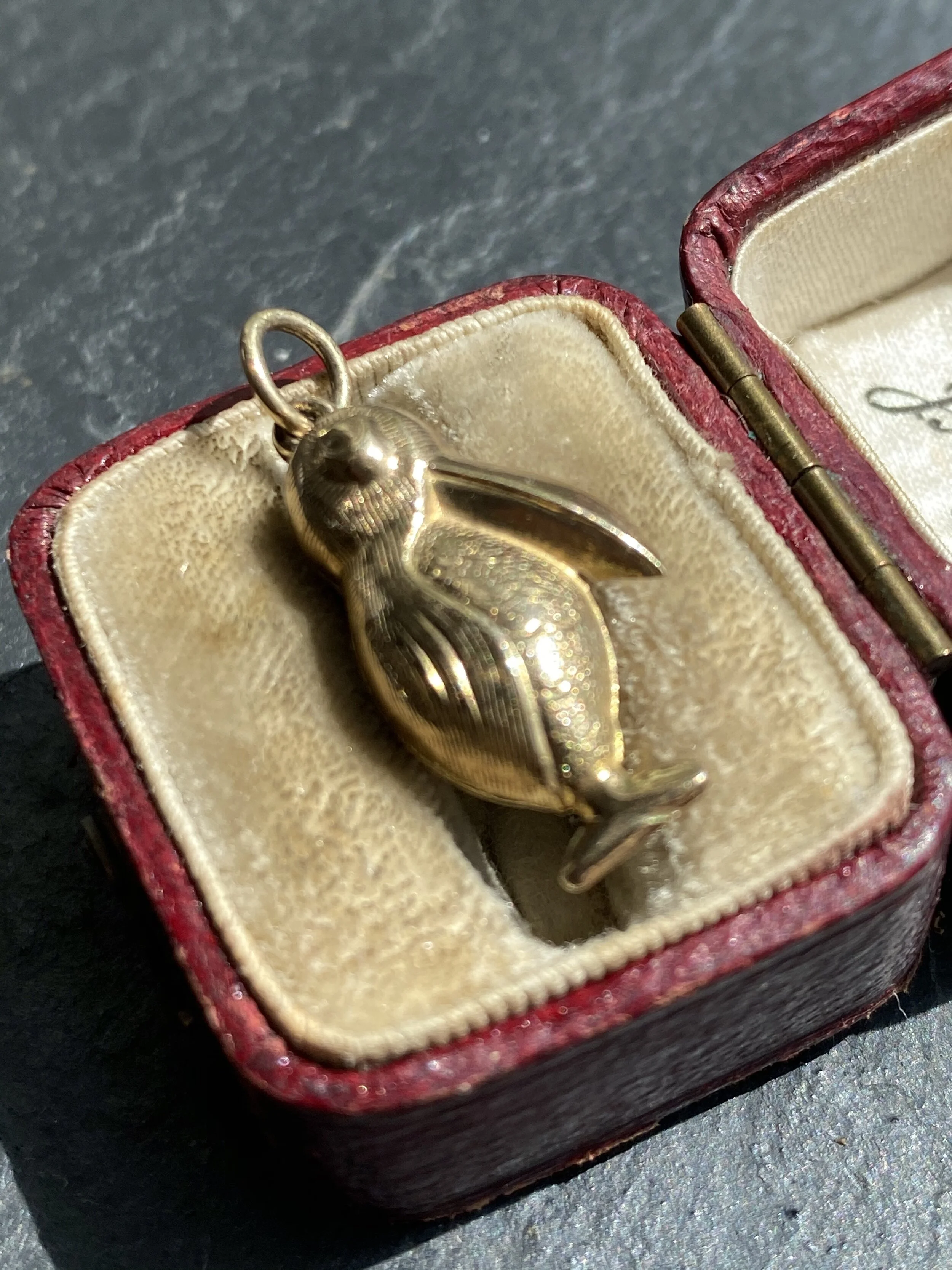 4AC26697-AFD8-4231-8416-E2D72B44EF99