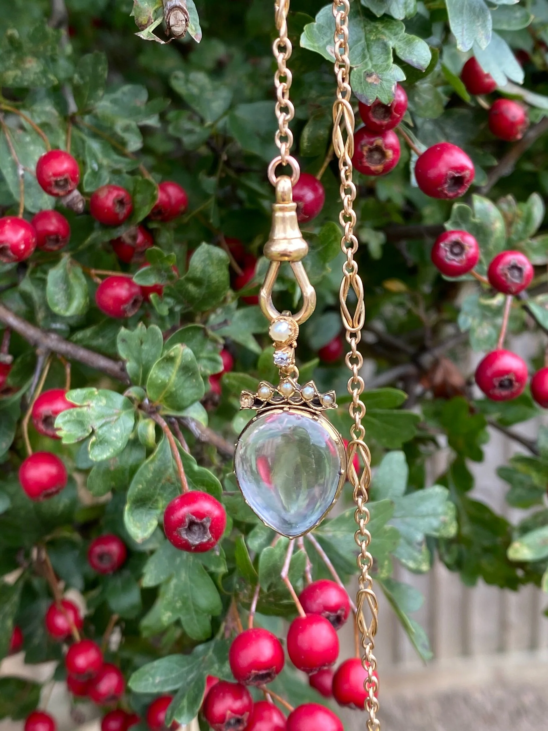 9E62805D-DA4F-42C3-9CE4-FAD426D9A84A