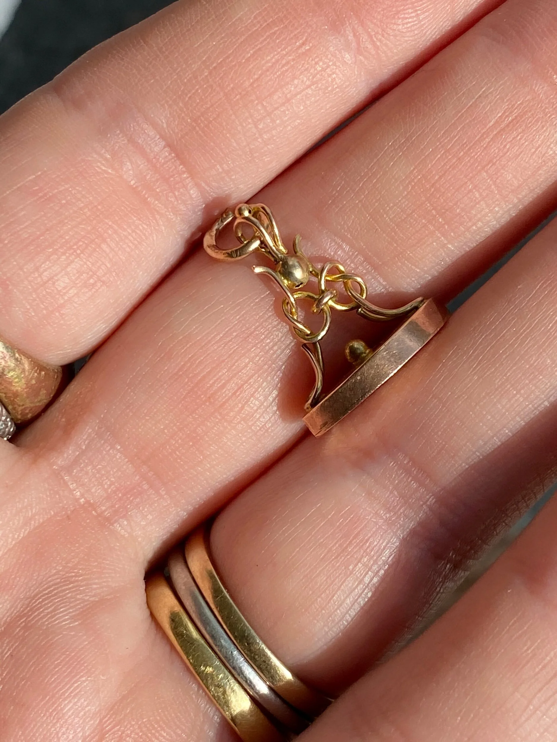 B56693E9-8AA3-49F3-B81B-AD2327ADA3FA