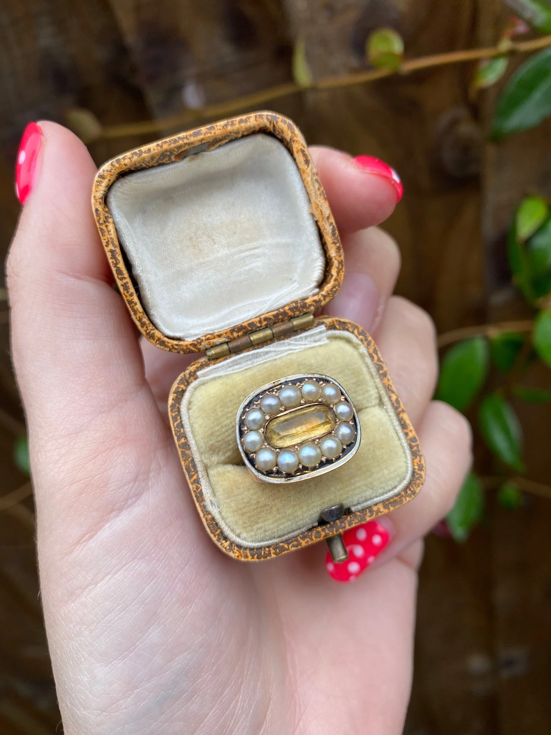 6E6CBCC5-3A9B-479C-92A6-BE64C2928D85