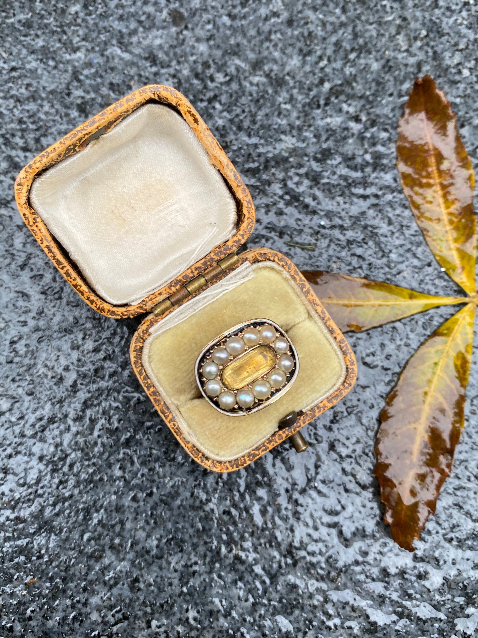 9893051E-7EF2-444C-9597-B128E31094A8