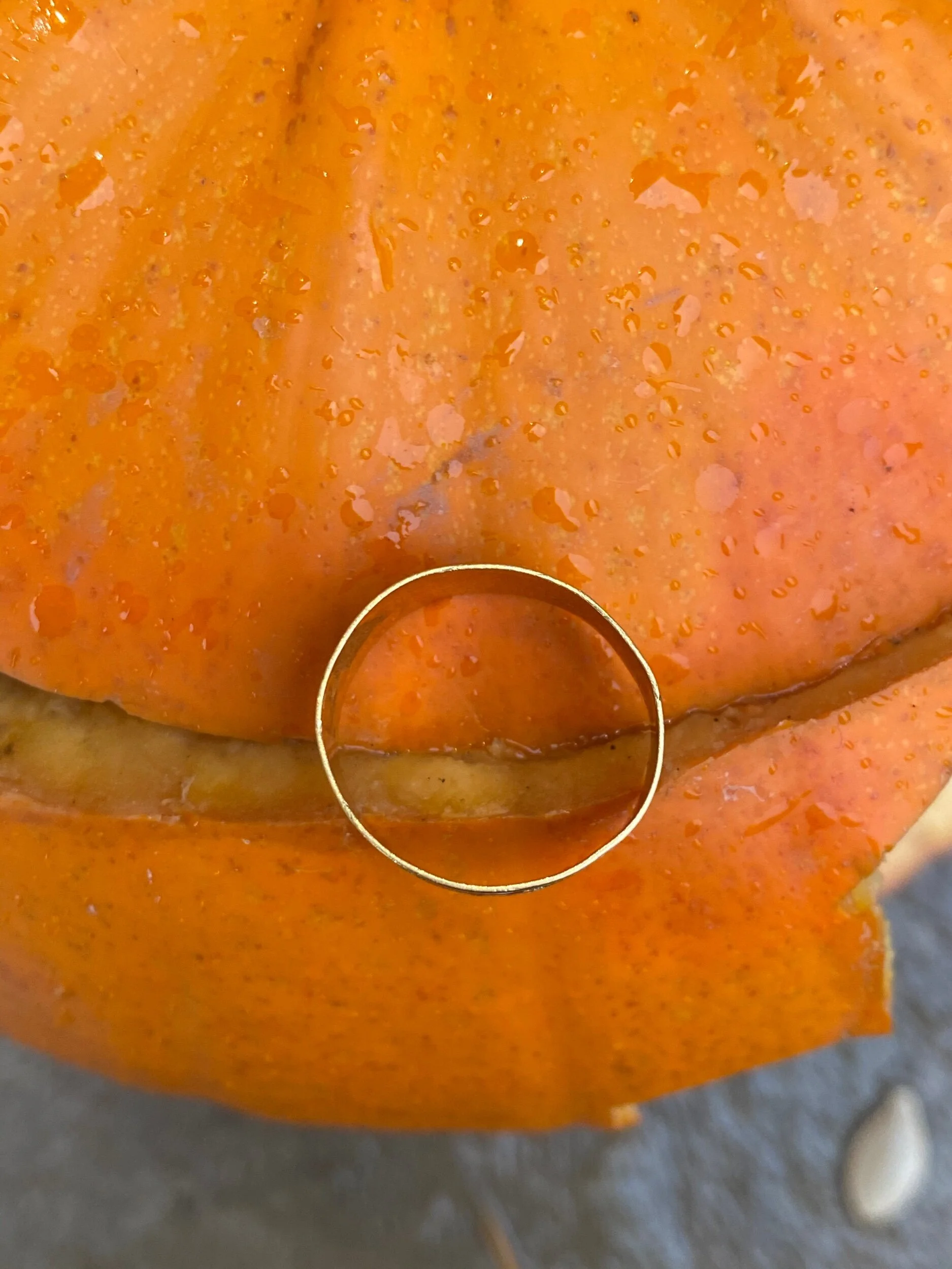 7550A717-A97F-4689-BB05-66A4B9E1E043