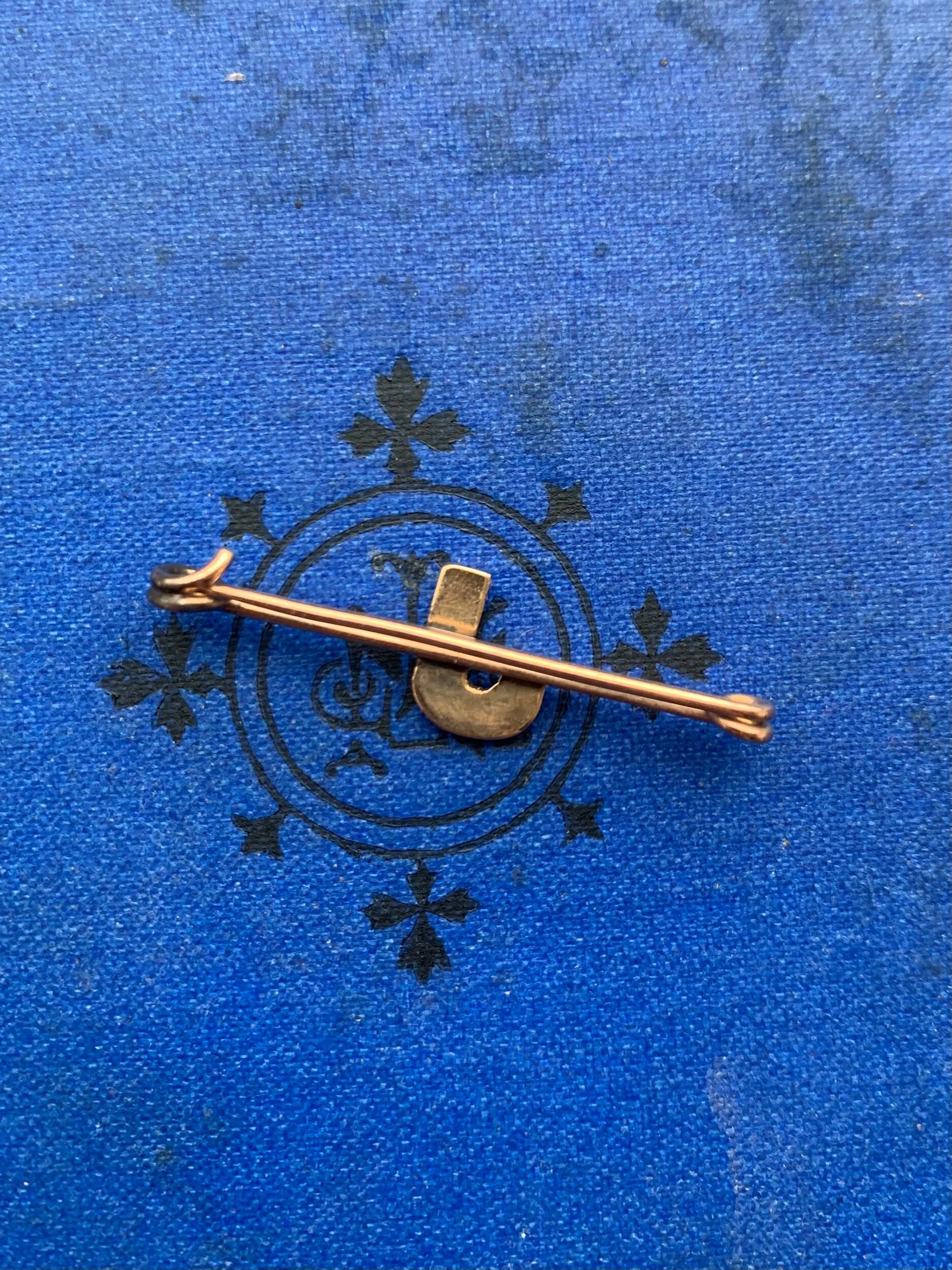 307B9FD1-95C3-430F-B0ED-484106C6F05E