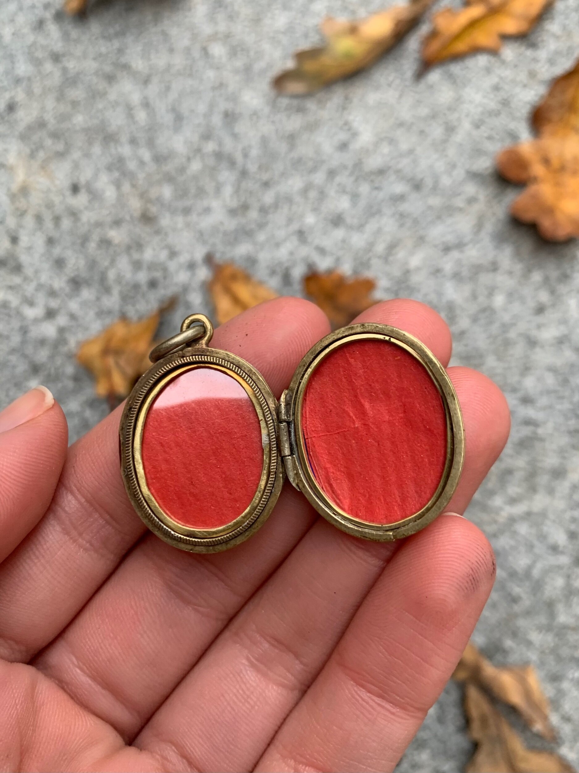 F16C877F-EEFF-4B76-A330-34958BCDA2E0