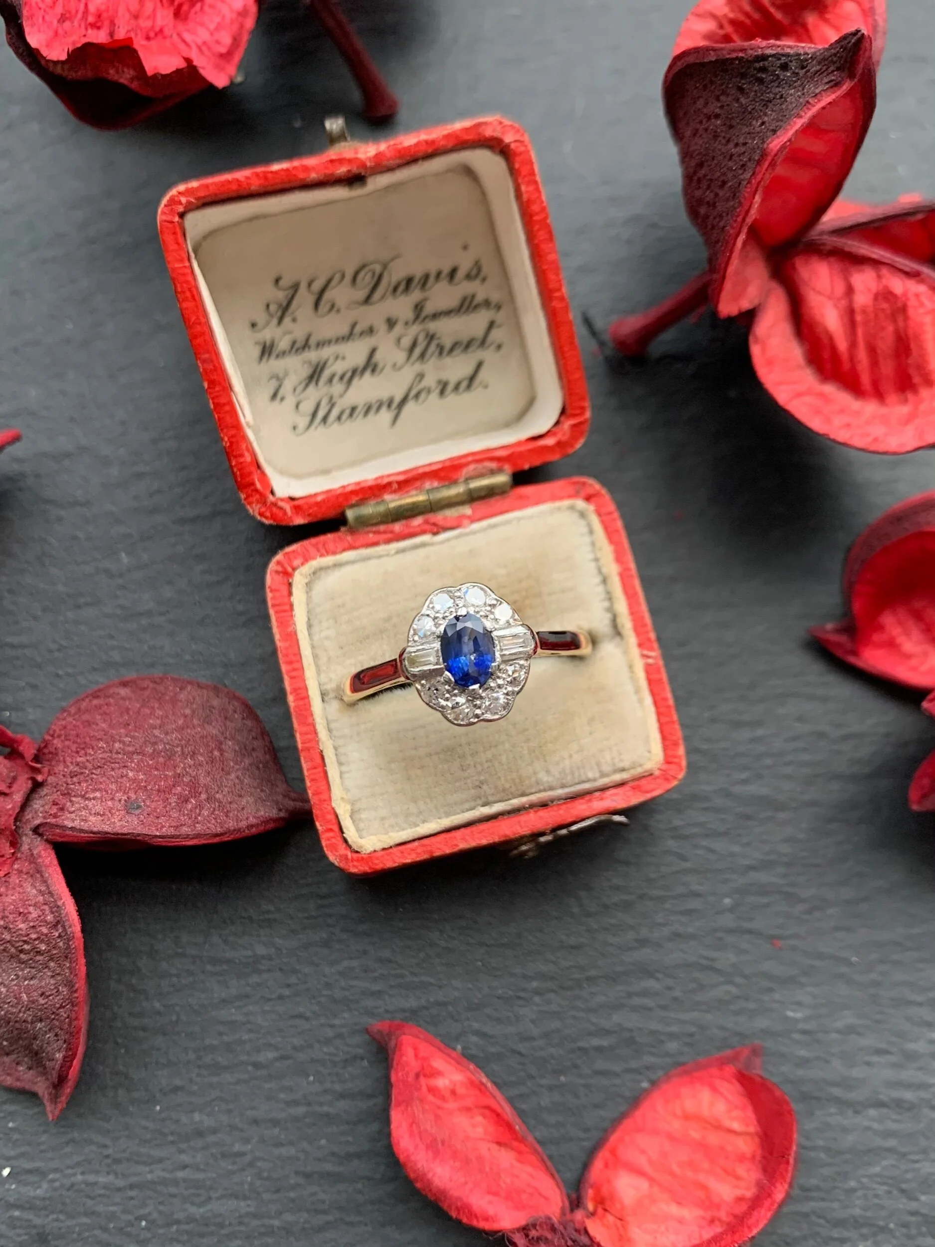 CEADD735-0DA0-43ED-A52F-189D023E2B45