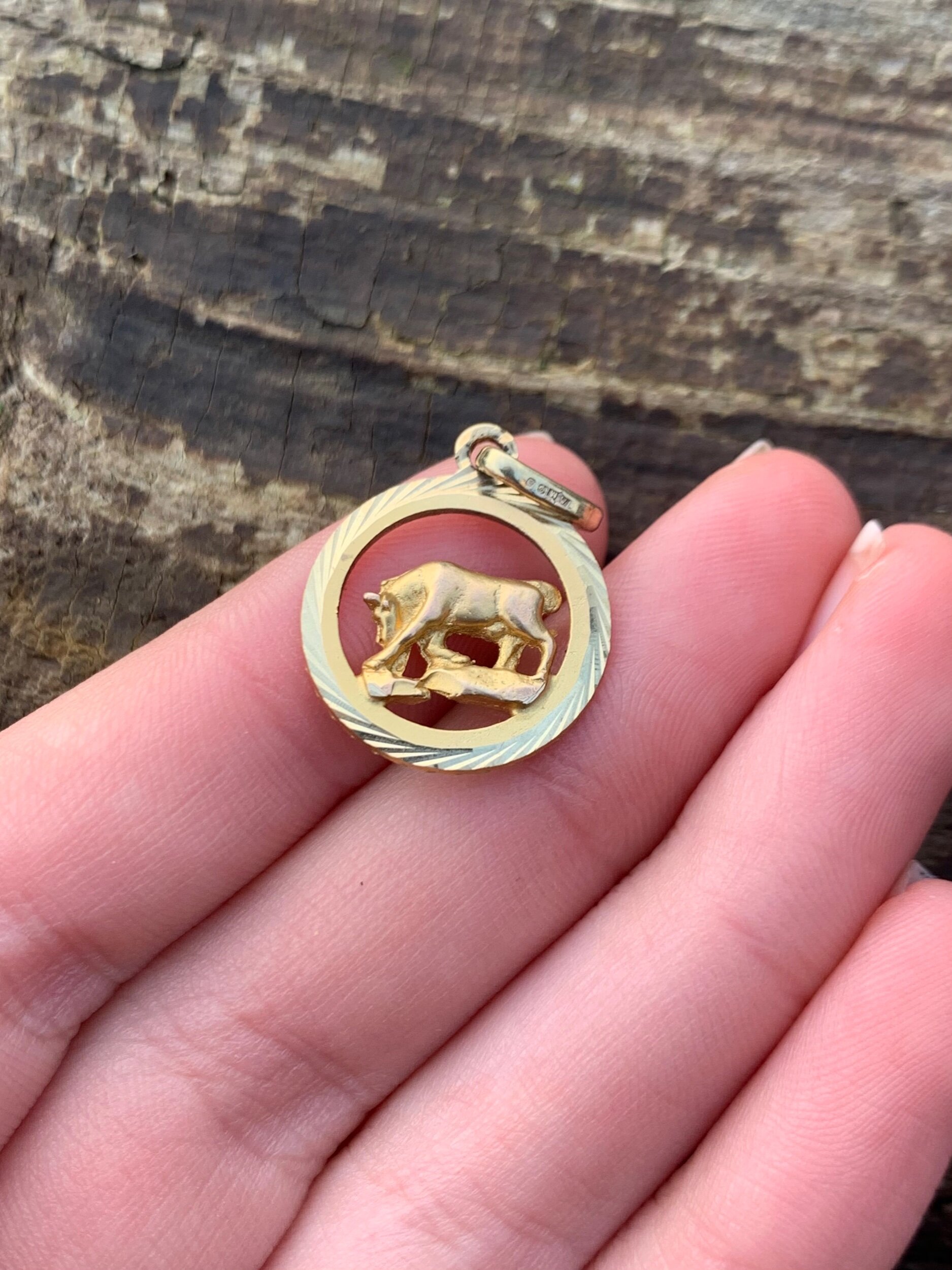 762187D5-AF67-421B-BD39-C6E26150BB03