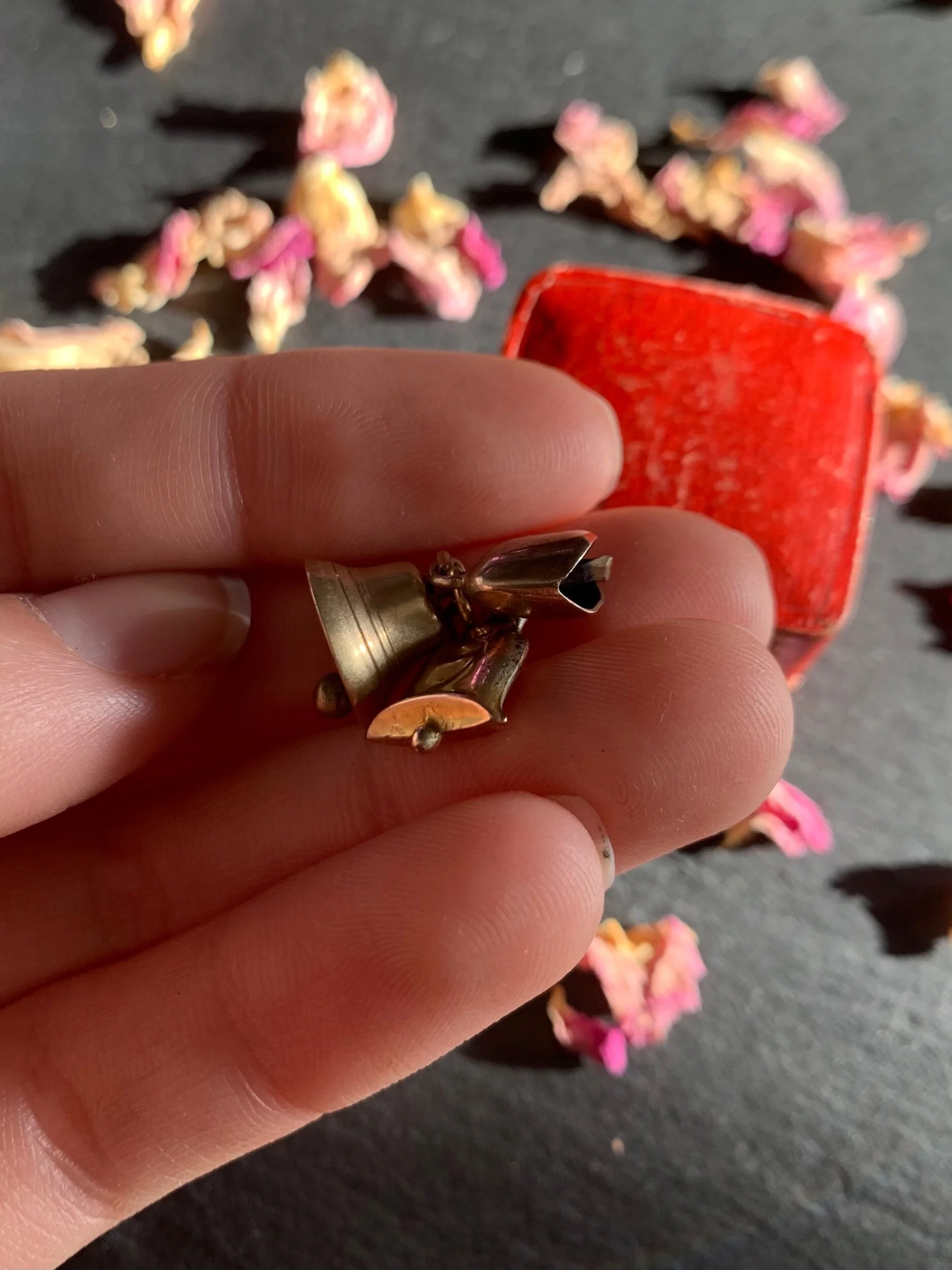 8D395A22-3700-4EB1-9757-EE47AAE676E4