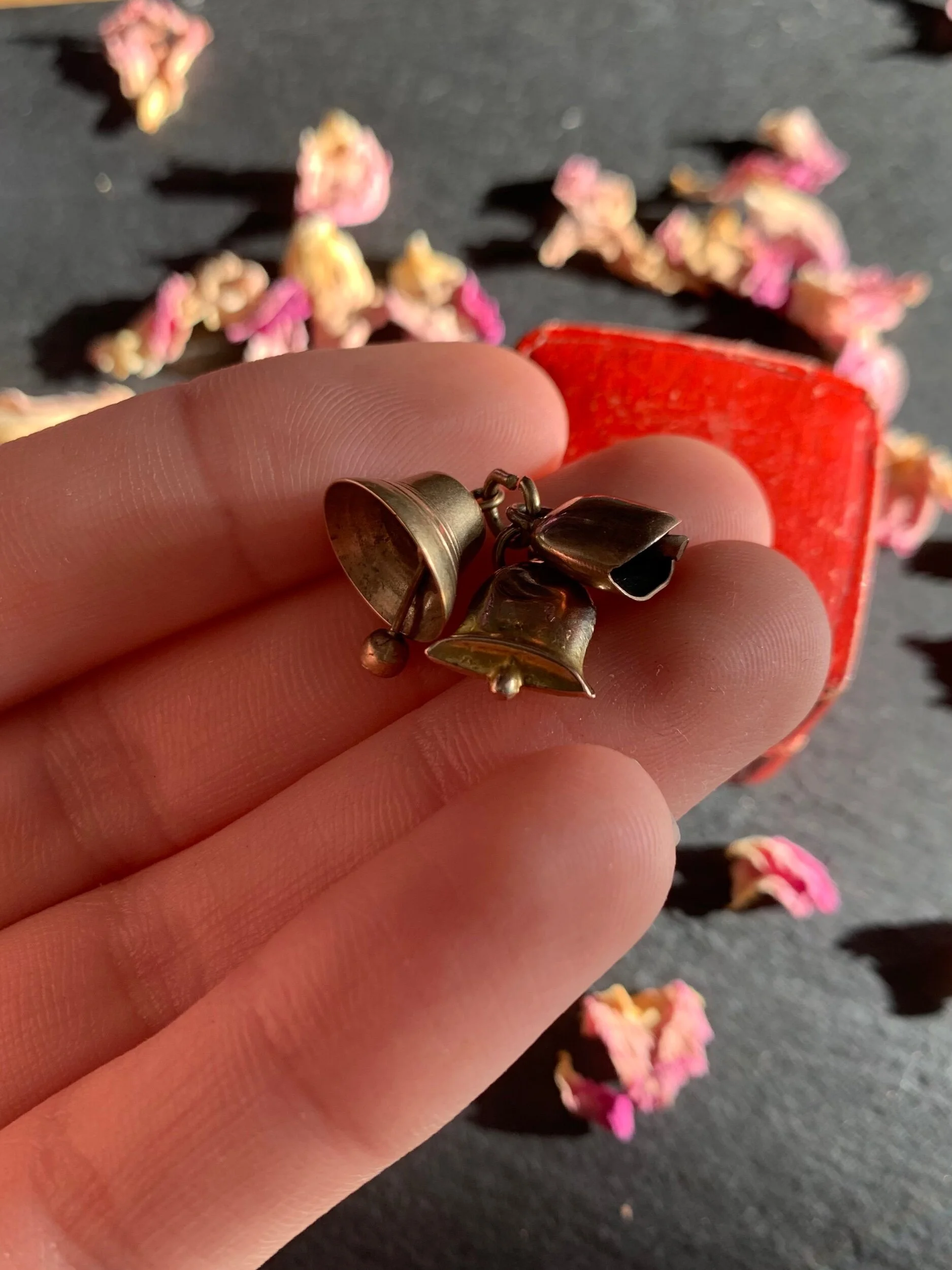 F85D499E-FD21-4FAE-9A11-CEFD674539CF