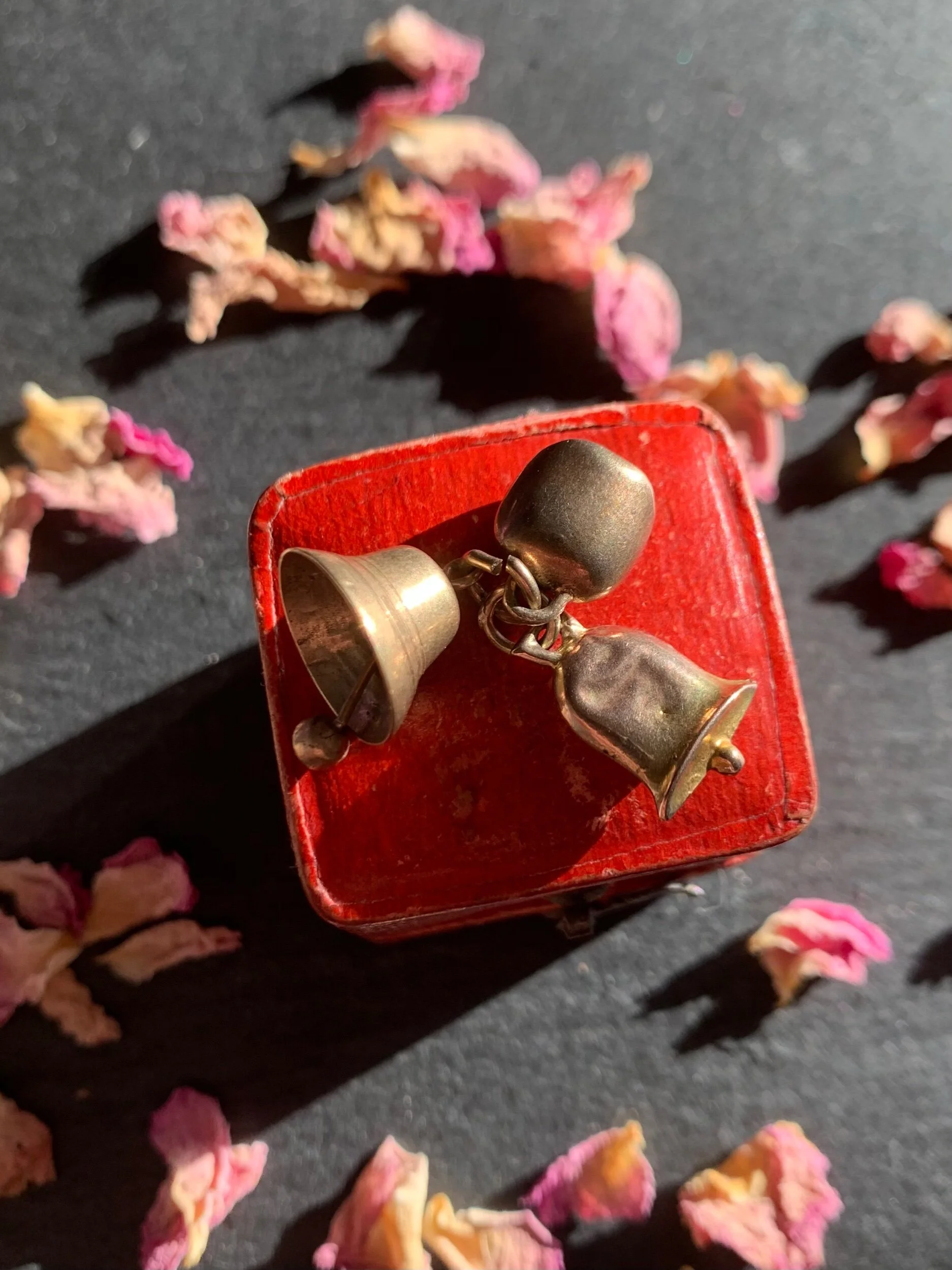 9C33D4B0-3084-43B5-9B2A-1FA95A1E4BAC