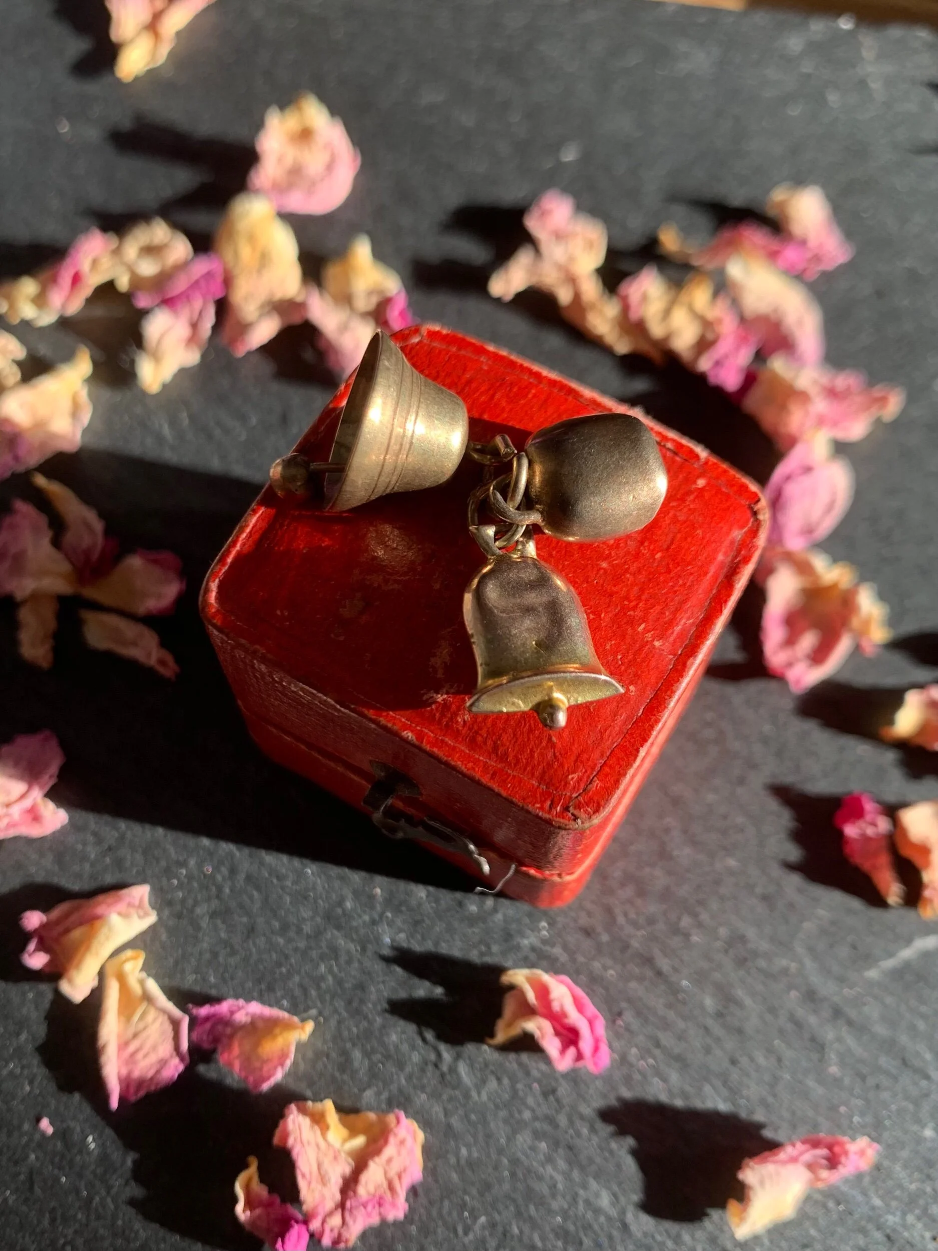 03F709E3-6F1B-4D52-B529-B13959A63EFF