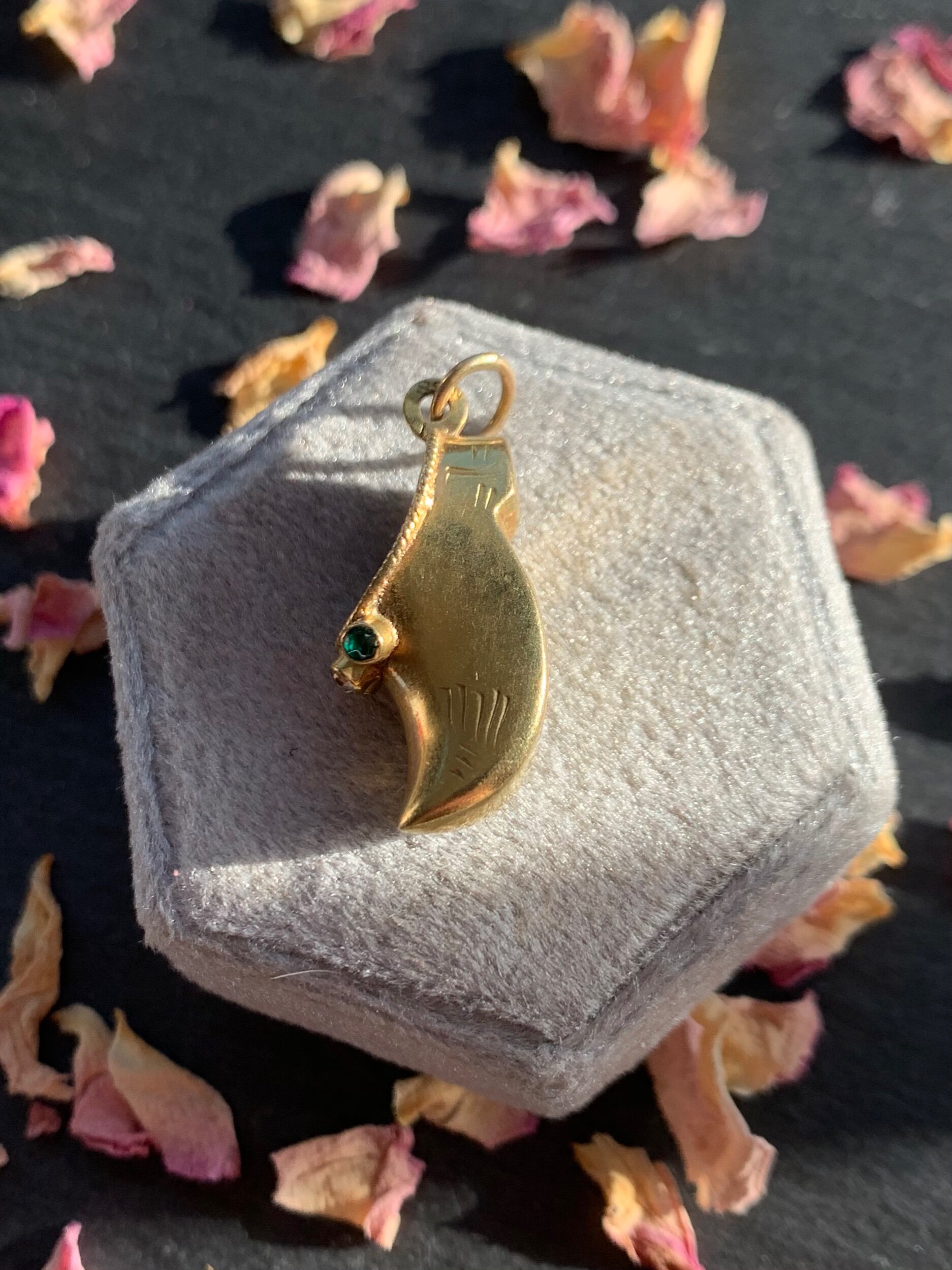 5FACAE44-E930-41CD-9202-8CE9E646C521