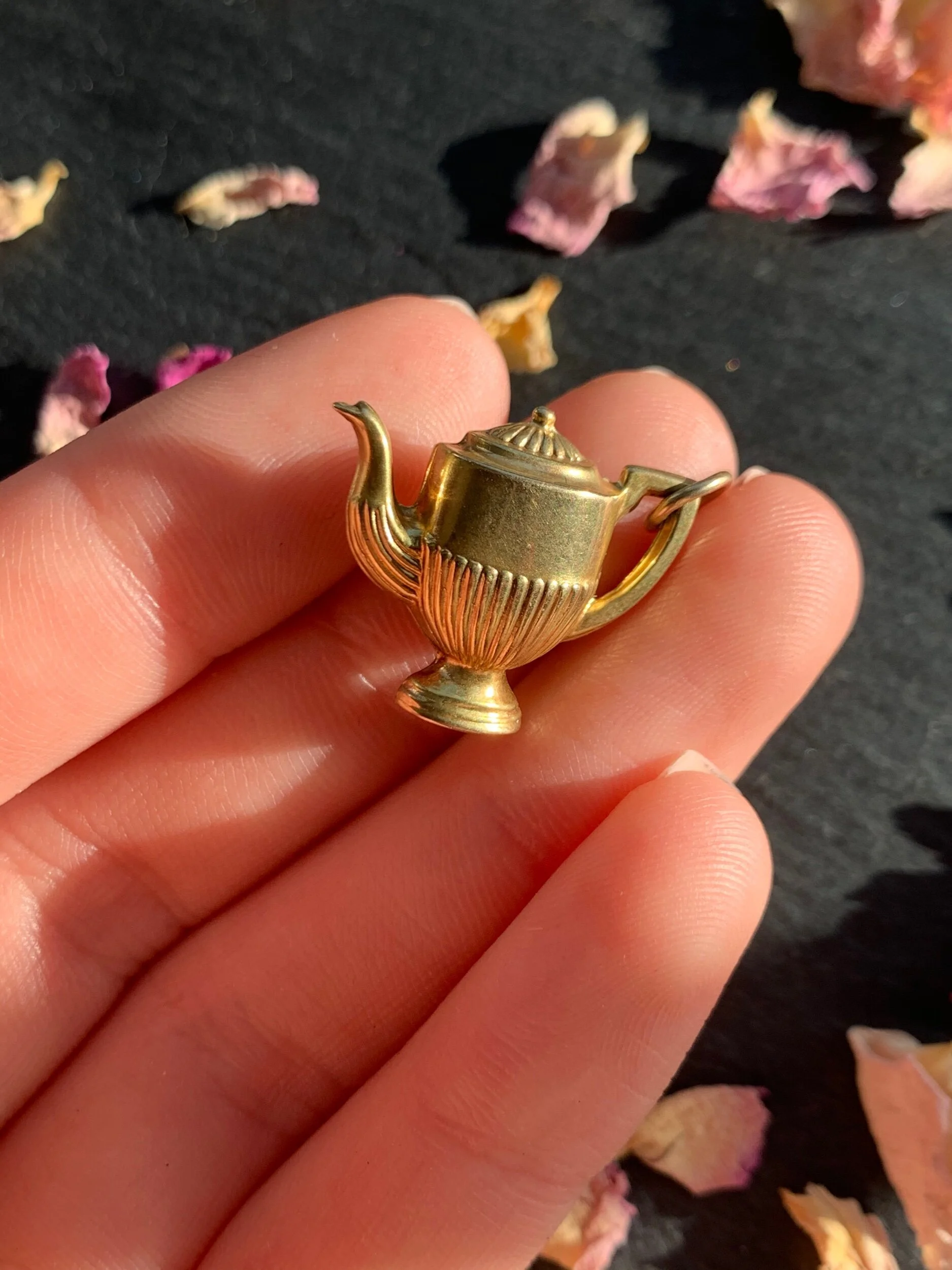 1668FE3B-D7D1-4BAC-8B43-BC5AC1395AAD