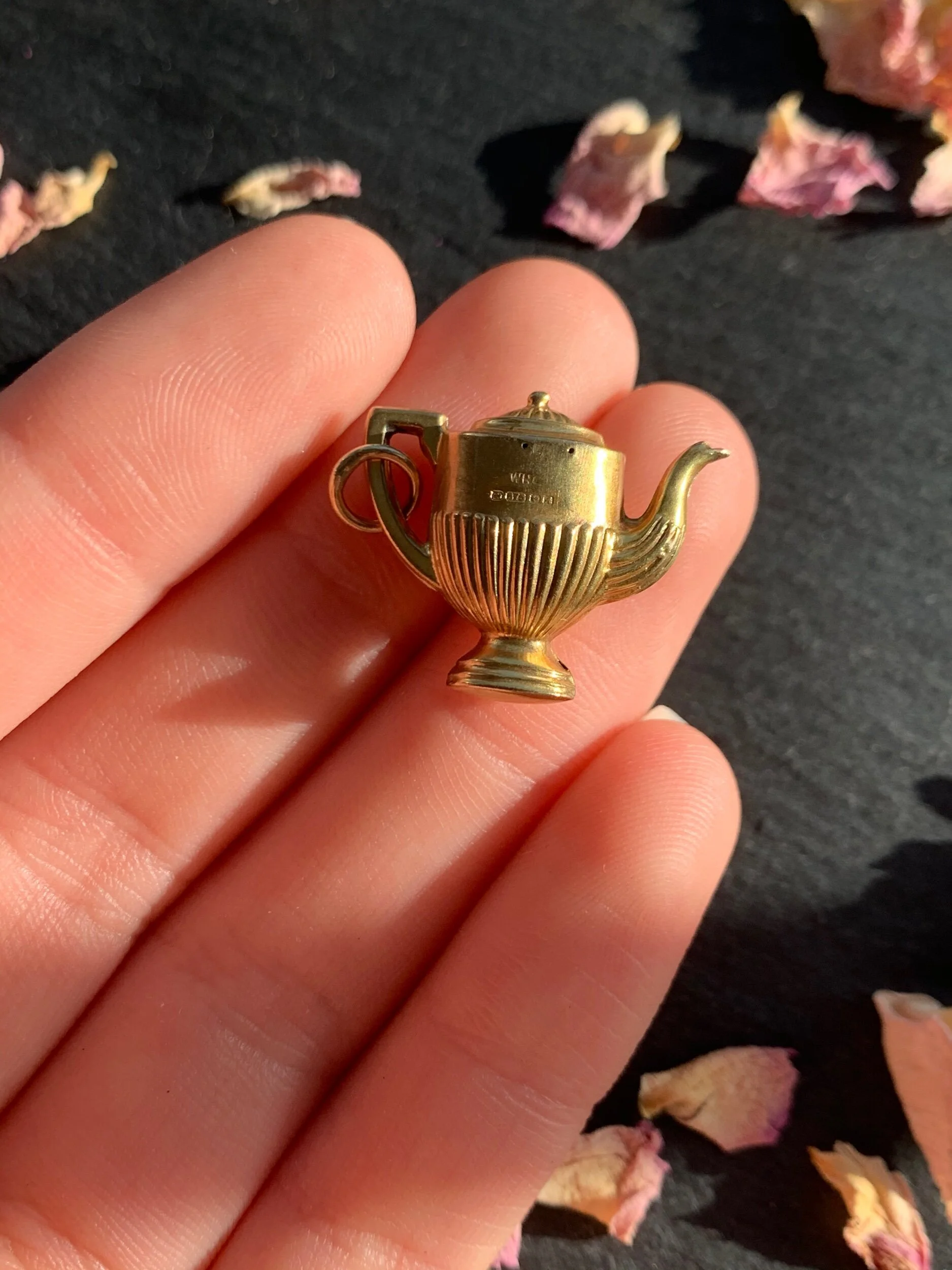 C9309217-FACA-4F31-AA31-274E49500D33