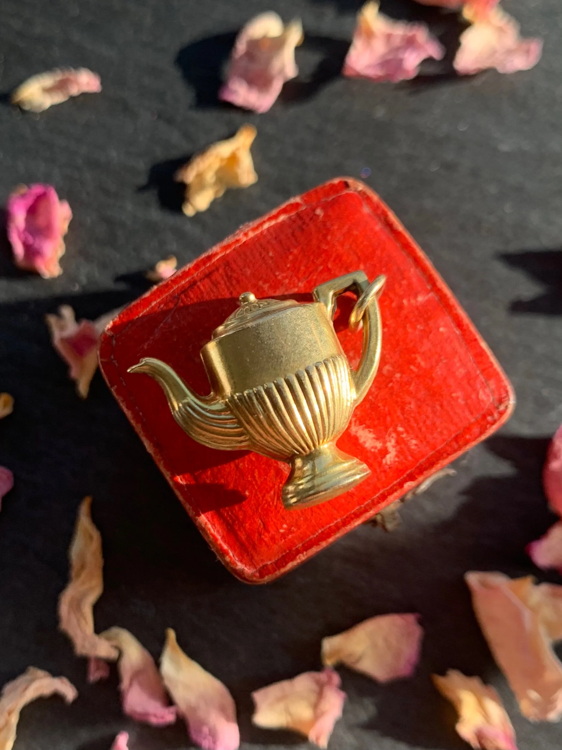 66B458E3-718A-4846-959F-9AED4E23D786