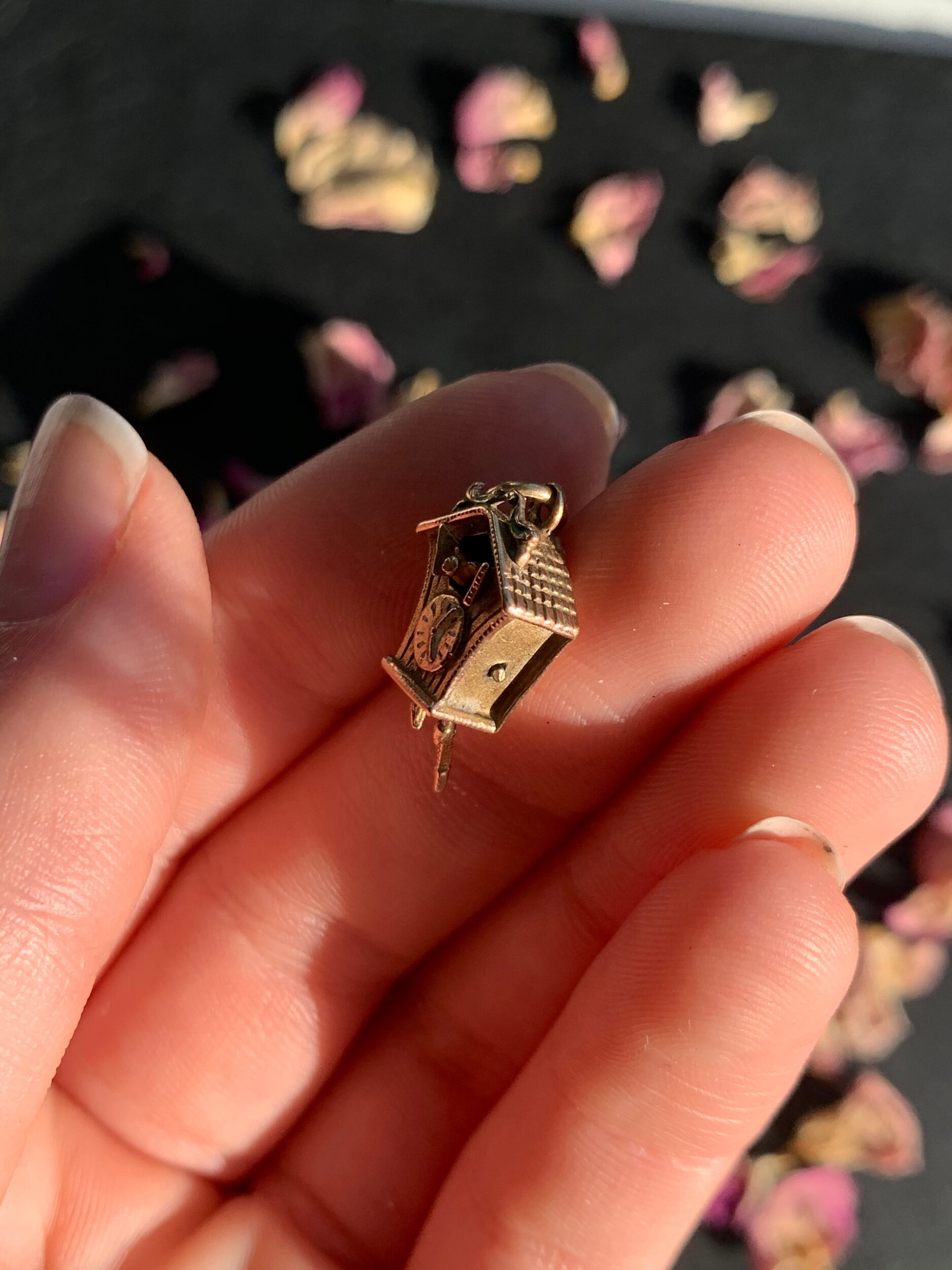 EC9DD922-DE18-43CE-AF70-DD509E39B76F