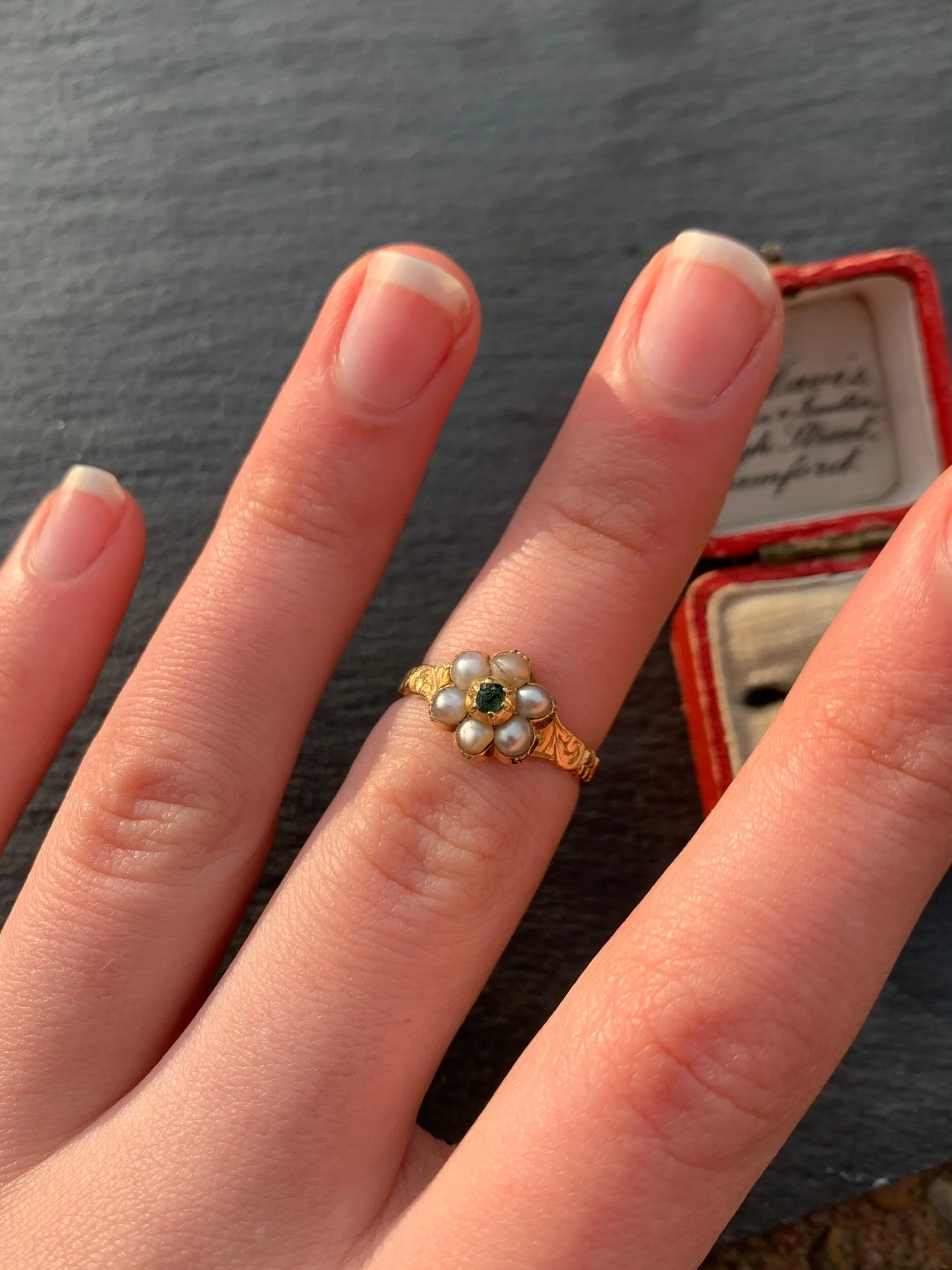 2540E25B-495E-4D41-BA4F-820F821653FD