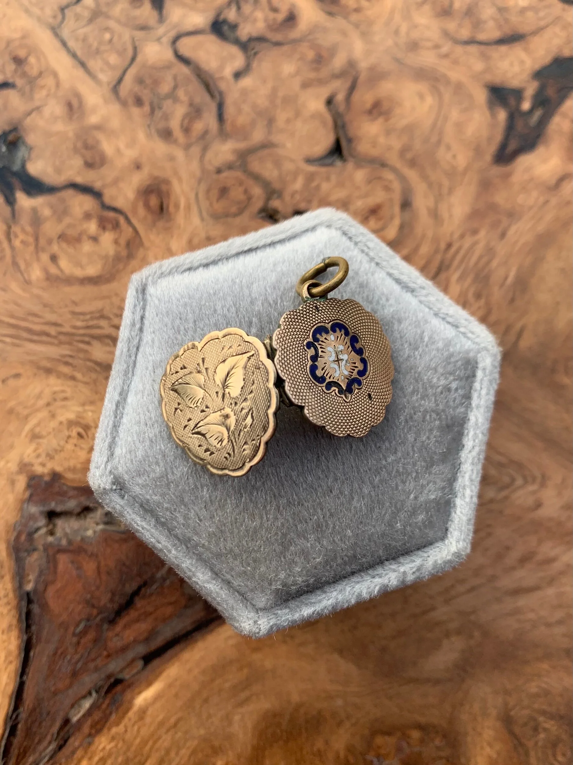 A5B100A3-583F-498A-ABCE-16B506F9F520