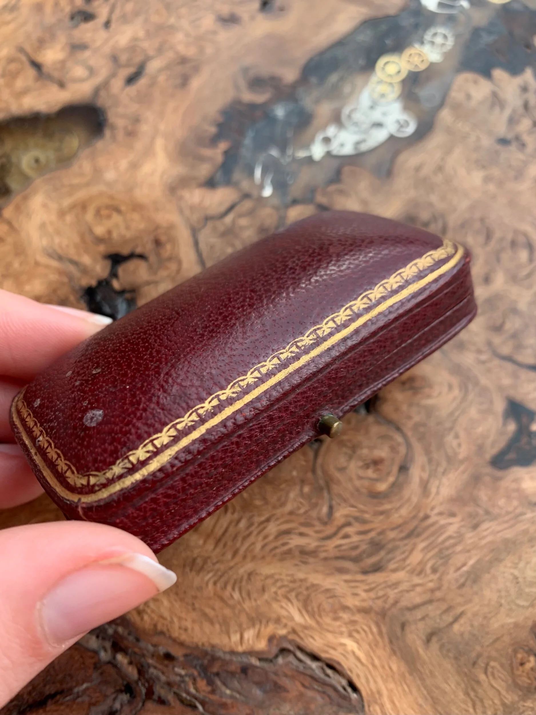 5CC73B0F-88BC-4D35-9498-498CDC054A28