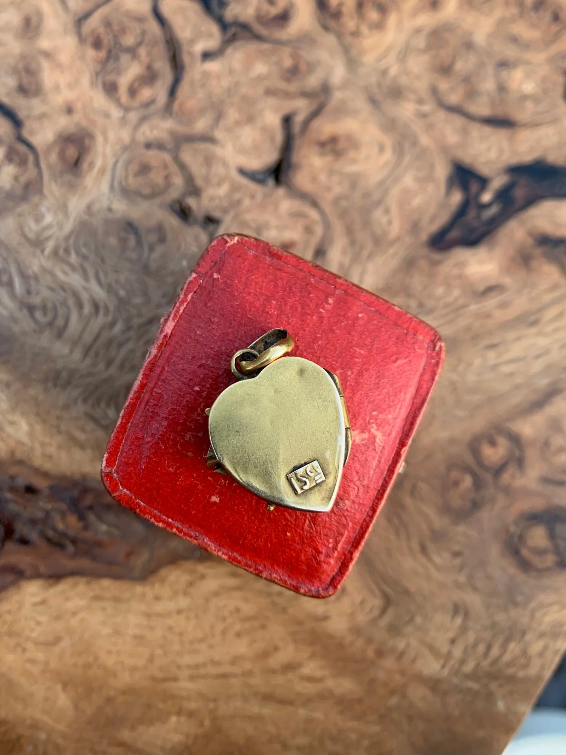 602EE405-1123-470D-AB71-0E02E50D9CB0