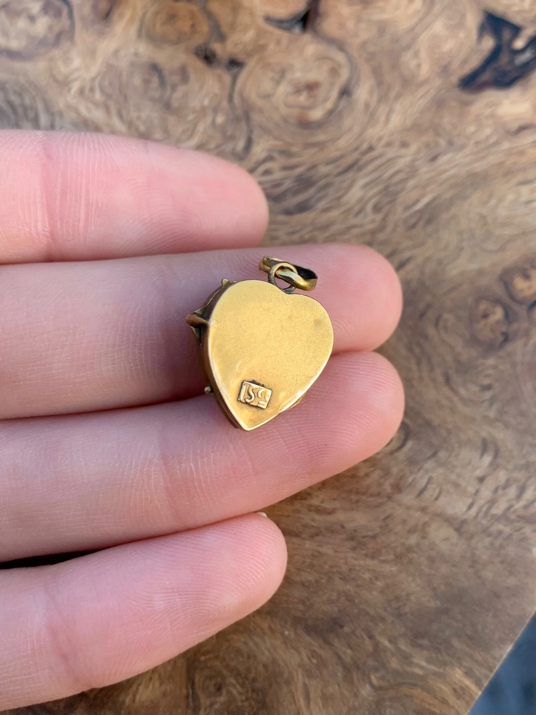 FA8DBD11-2387-4FA9-8E0F-51F22A4C574A