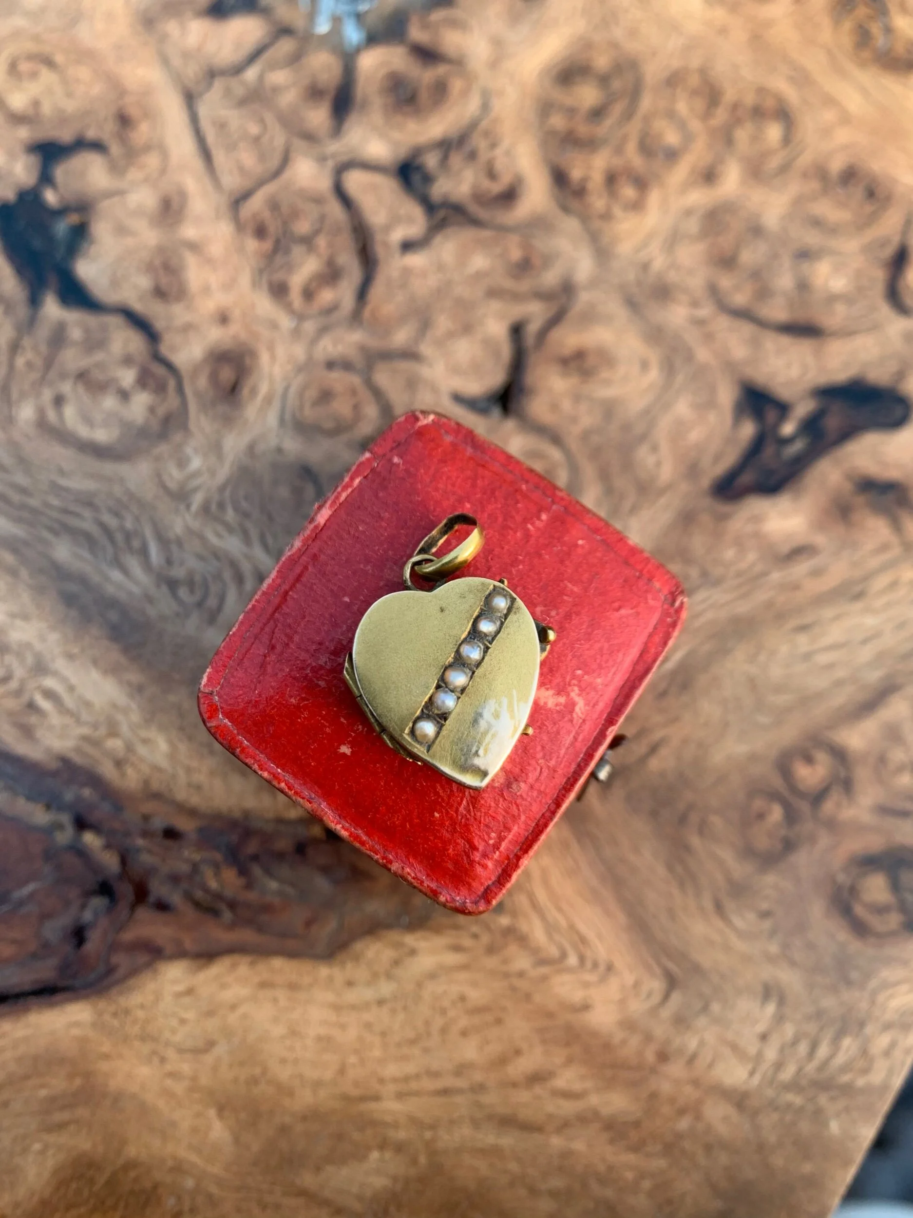 8B7B8193-73FA-452A-82FB-0A015485C12F