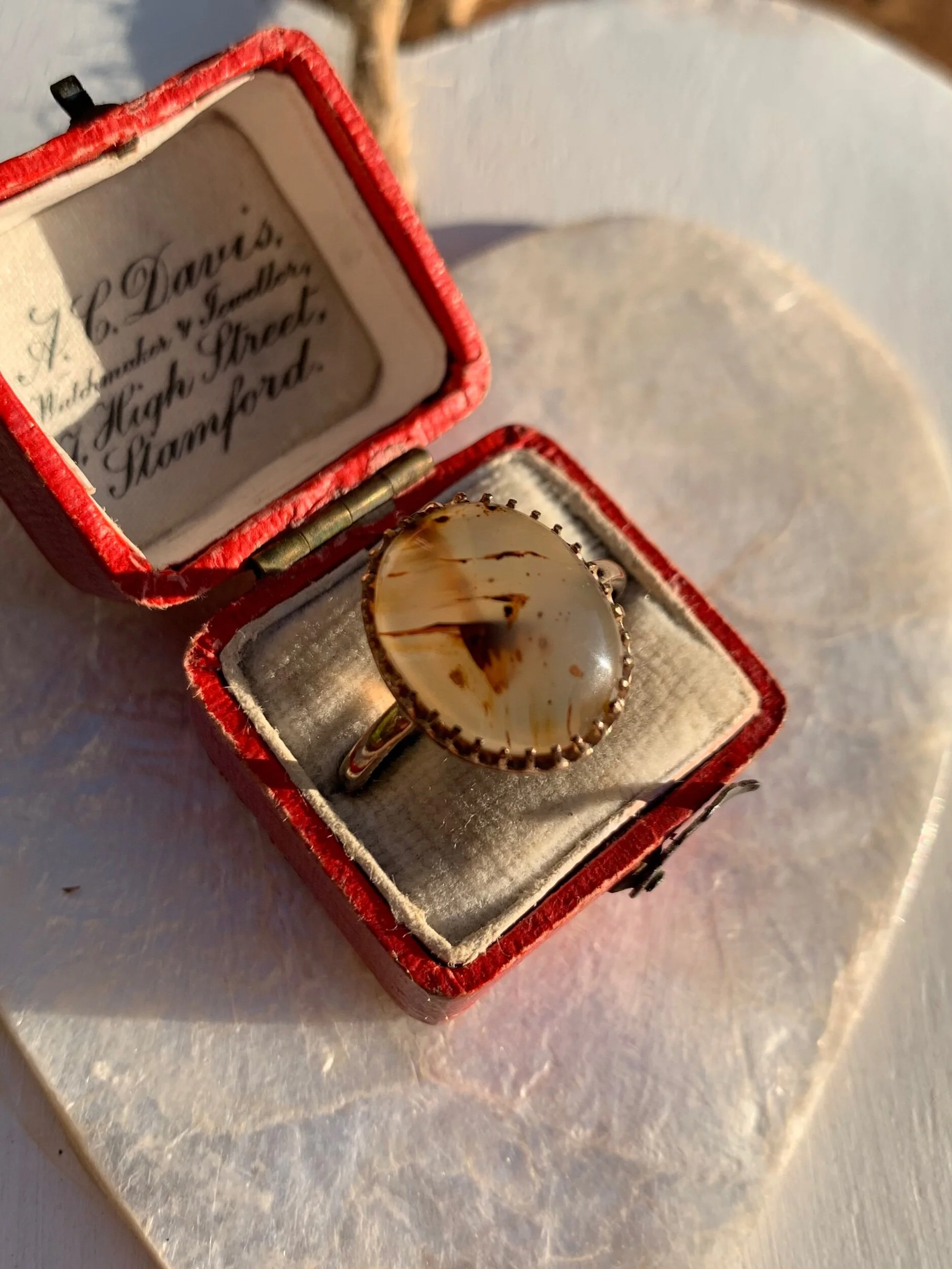 36CC9EB0-34A0-41DA-9510-9CB3CA23AC46