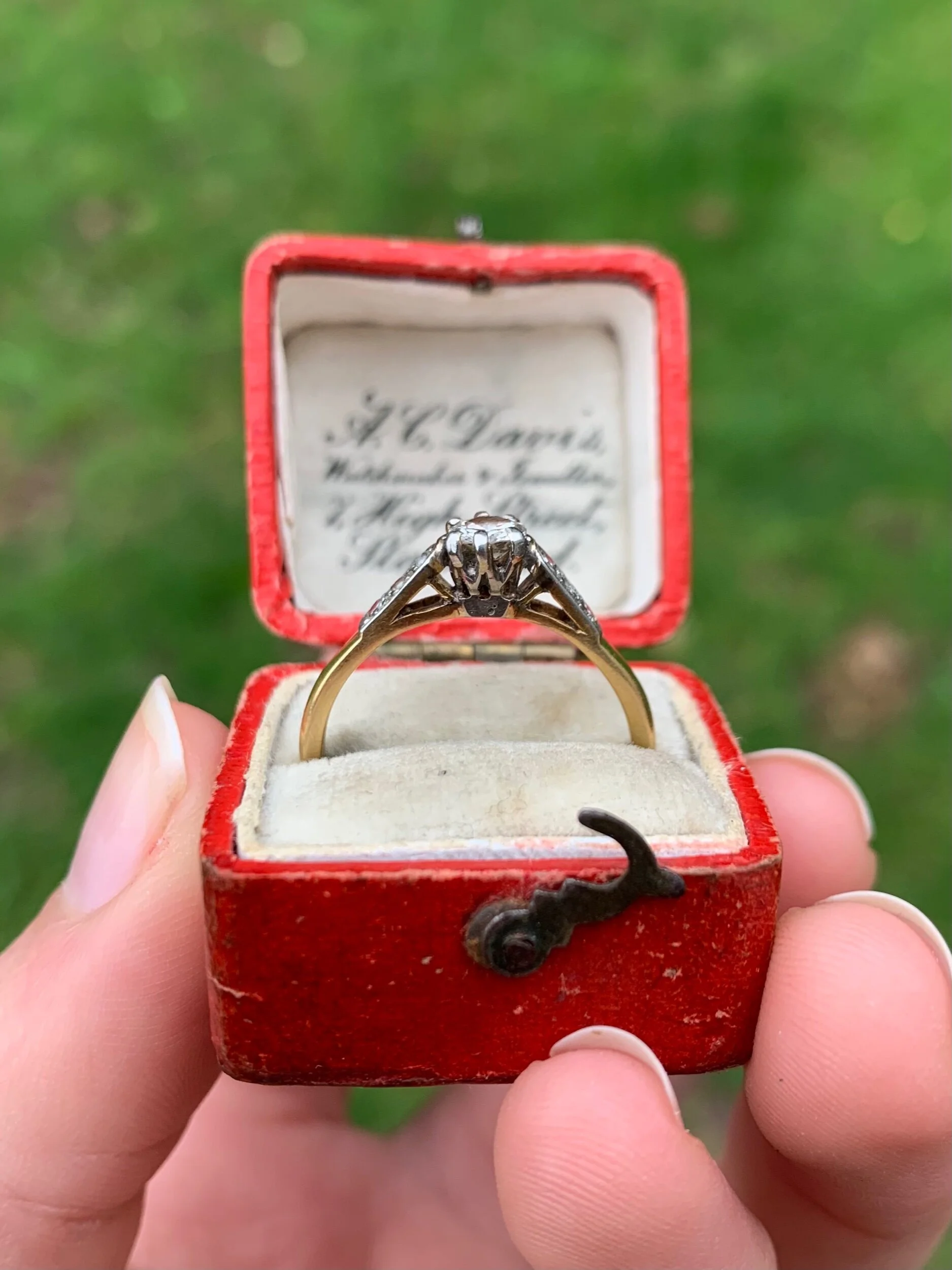 FF2D24DC-9757-4F68-8D23-EFE404B86B8E