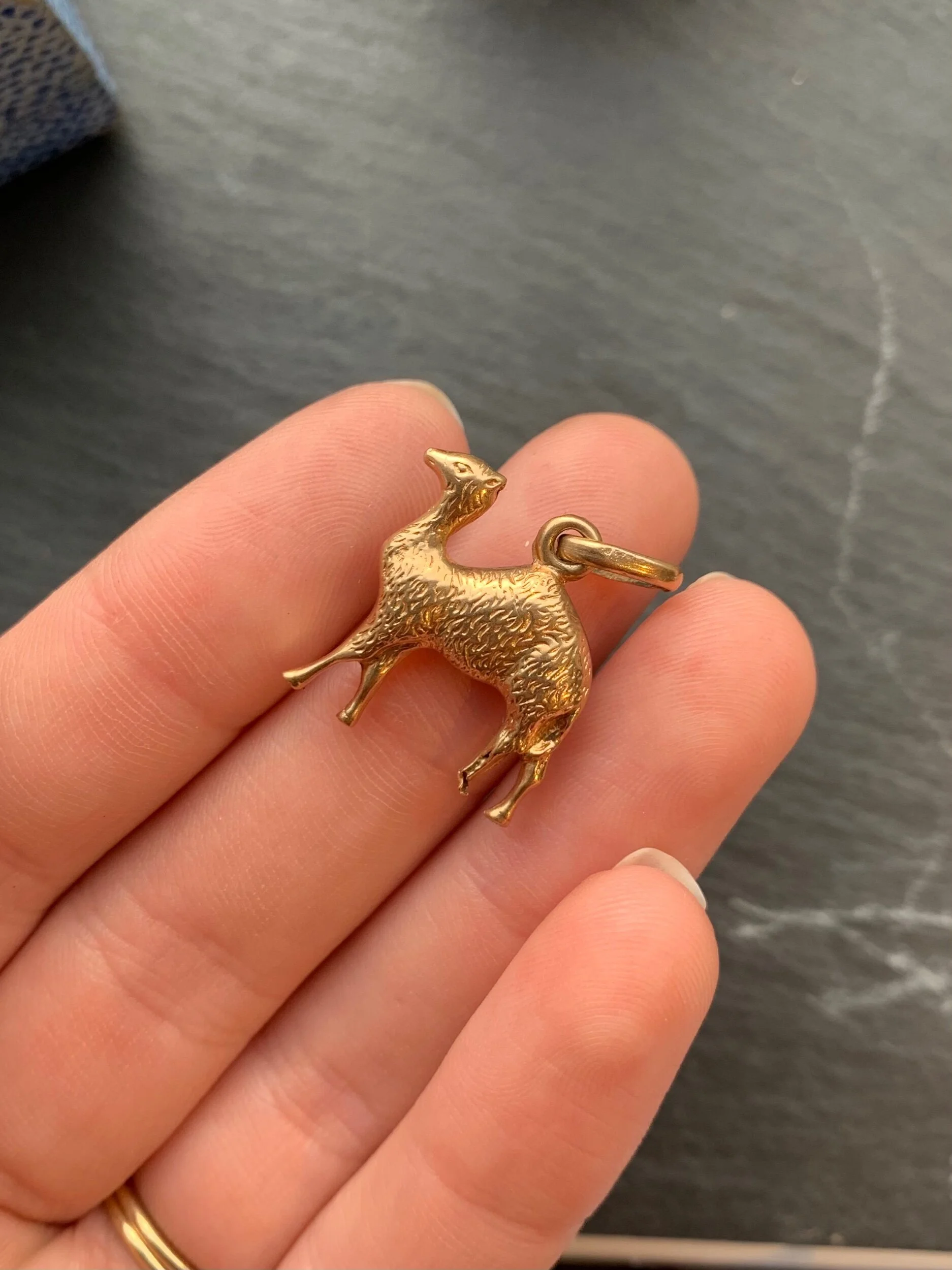 FC673F84-61B1-4D86-B500-9D7B4050776B