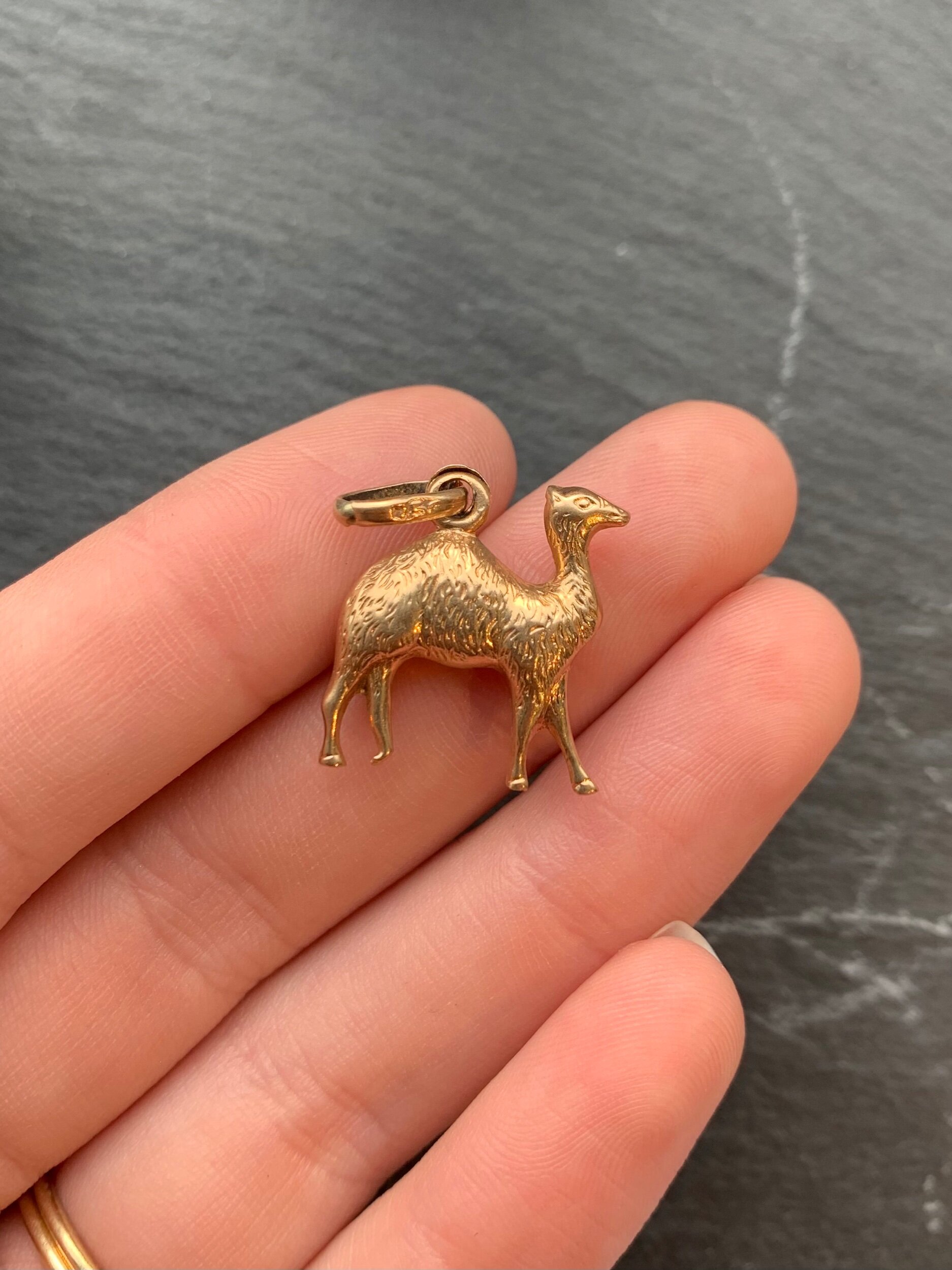 0D817EC5-8235-4889-9356-04F50E8657A4