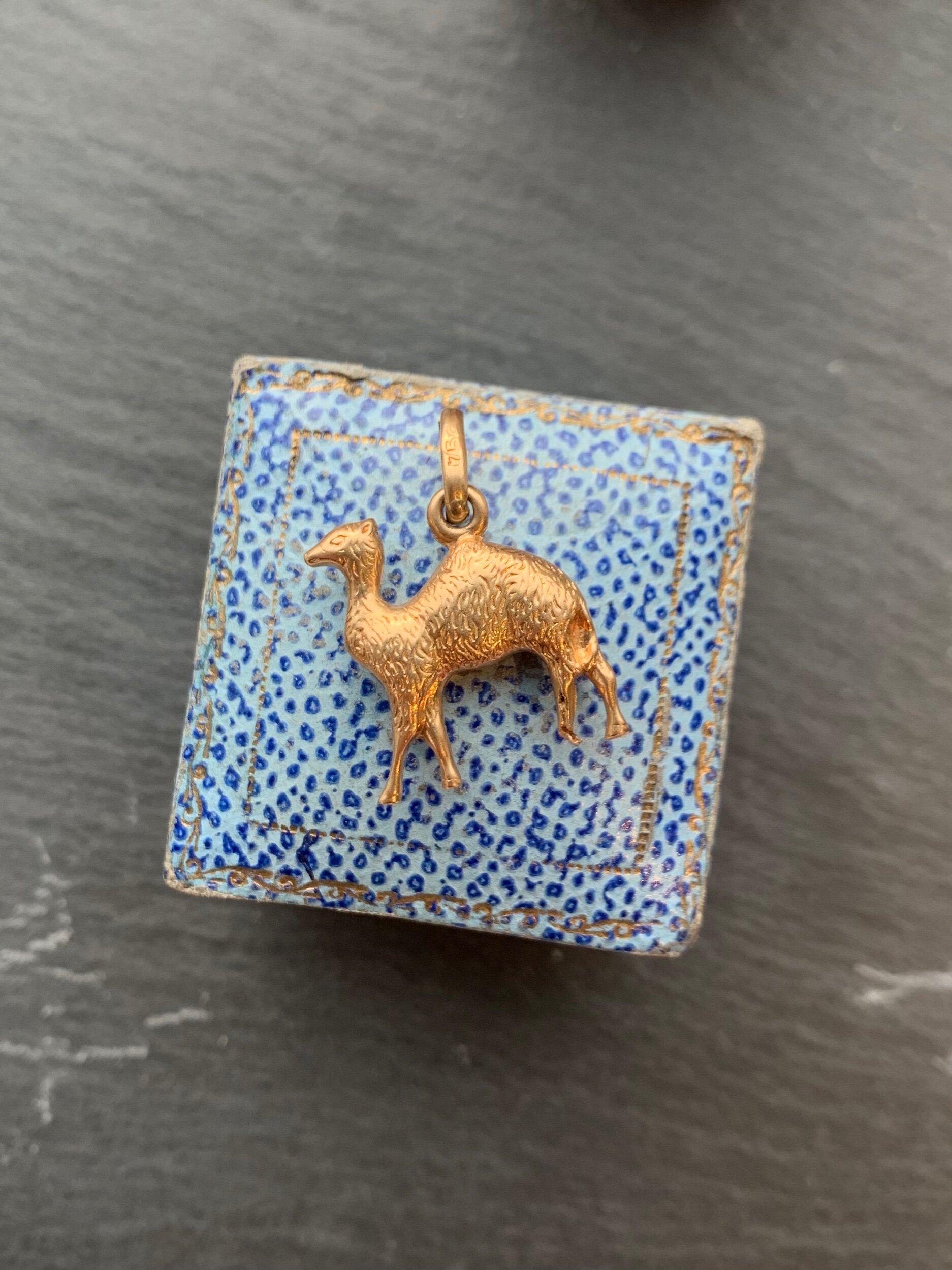 C0FFECA3-AFDB-482F-8923-5DD7E2AB9217