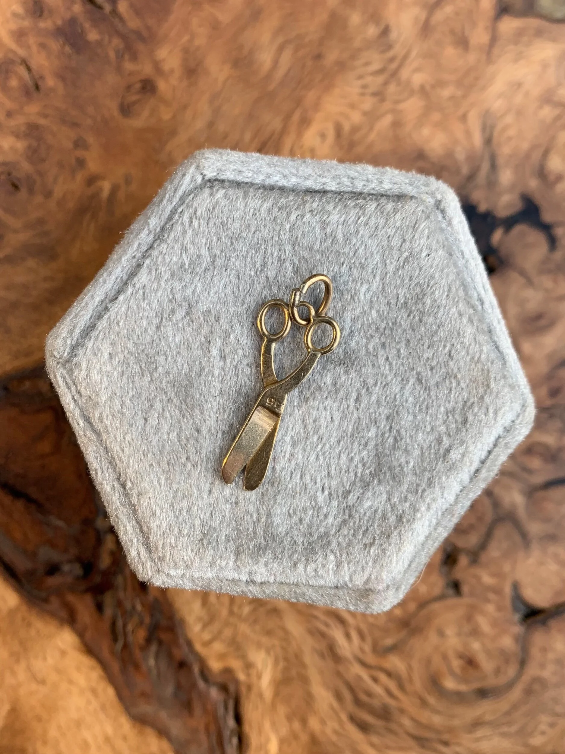 1EA350AF-8A26-442E-85D9-E074D6AFC96A