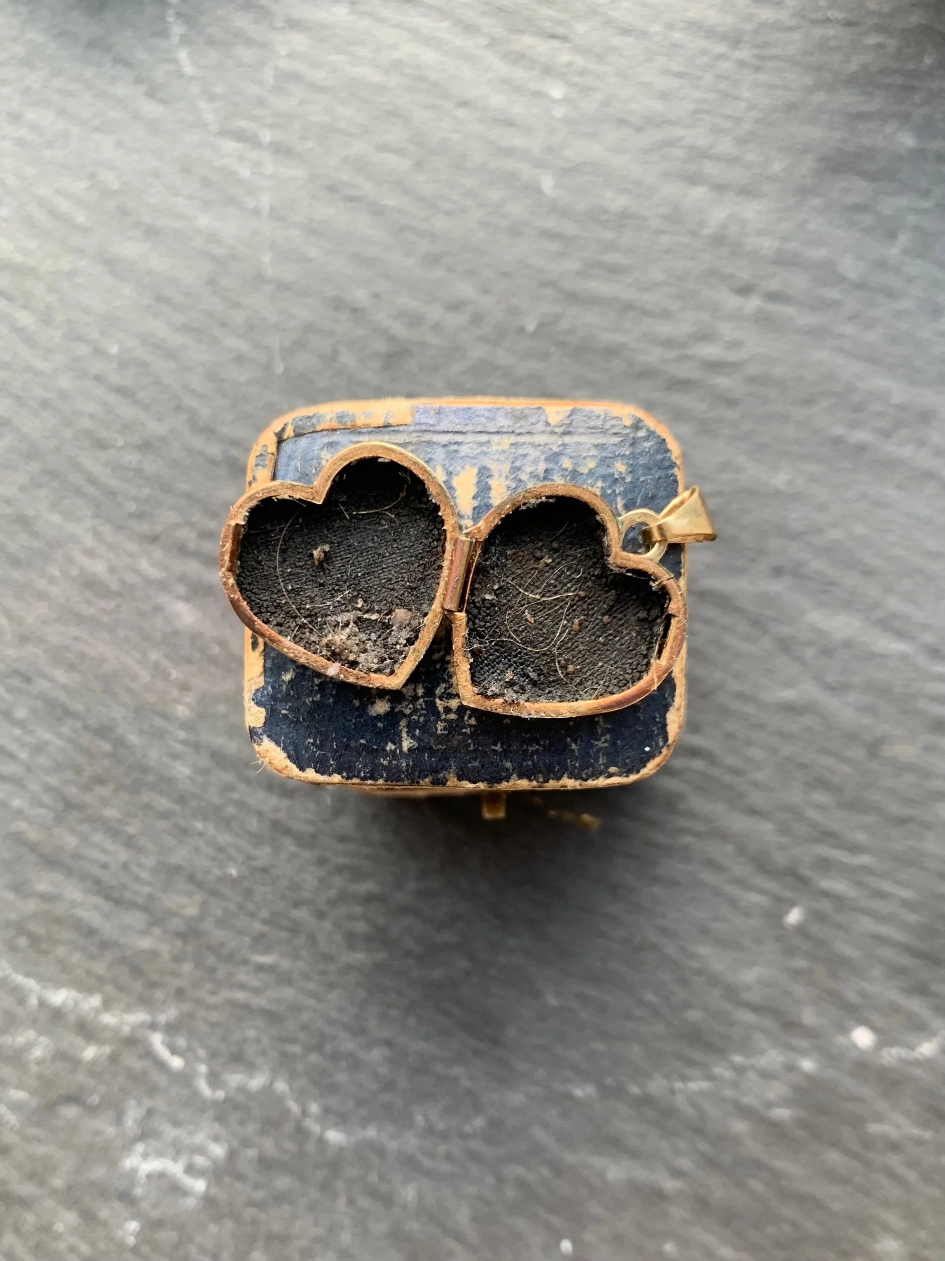 8564B492-0FCF-4A09-AF0B-9F474AED5CDA