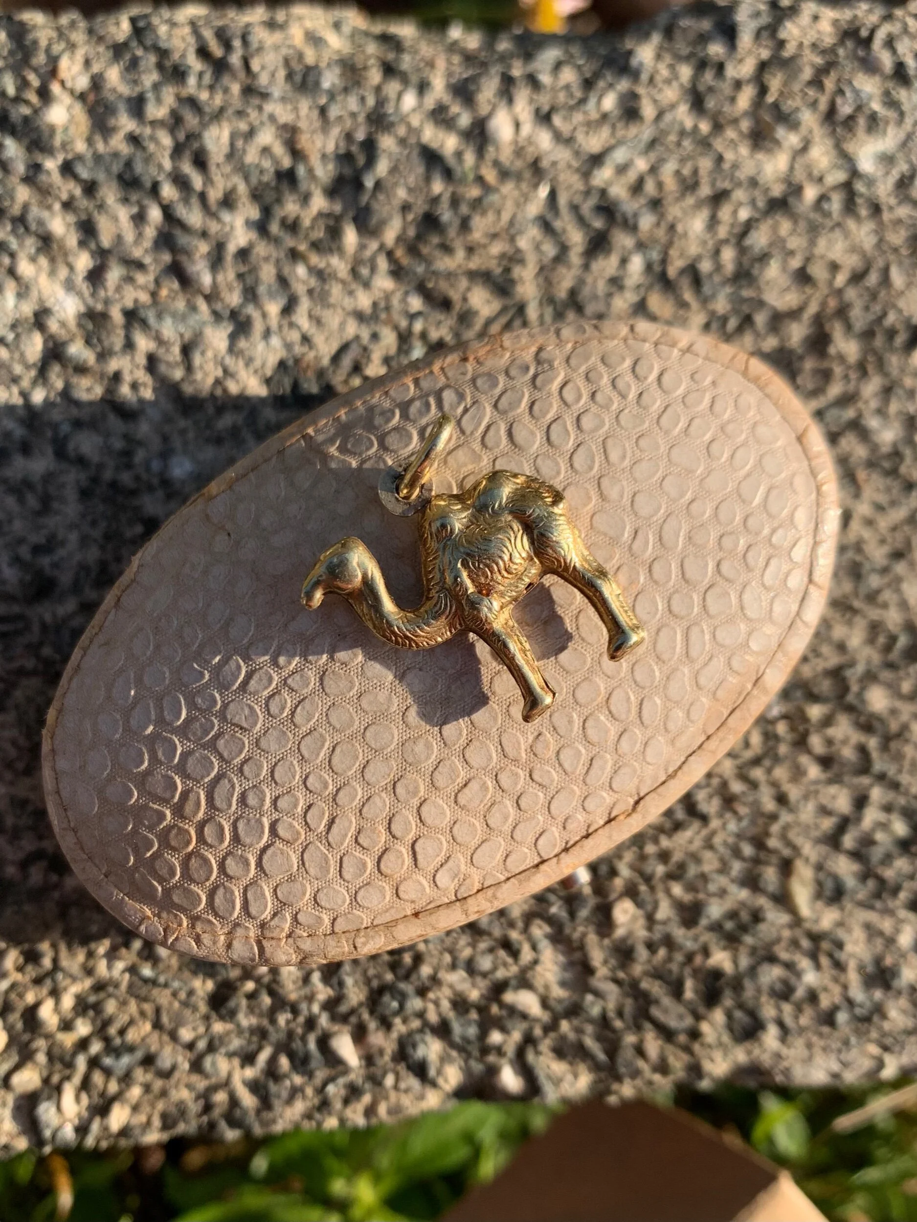 13854C49-9470-4A62-953B-E4A54E12301D