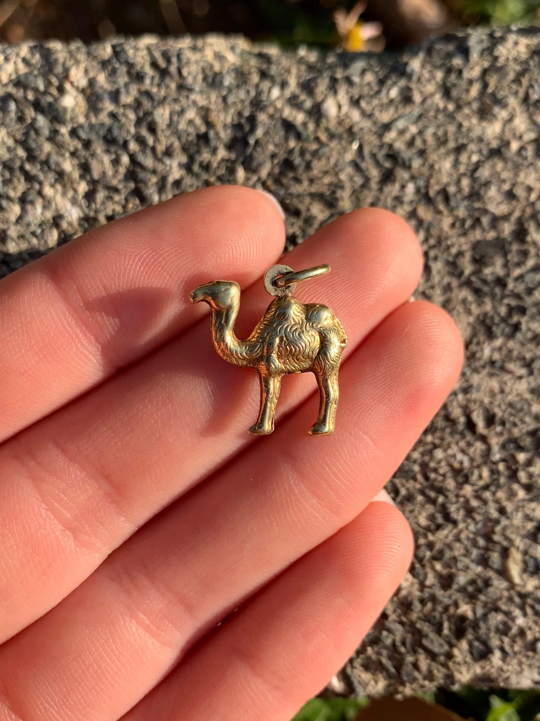 B2FD8D39-A569-4F6F-930B-5C07B89FFE6F