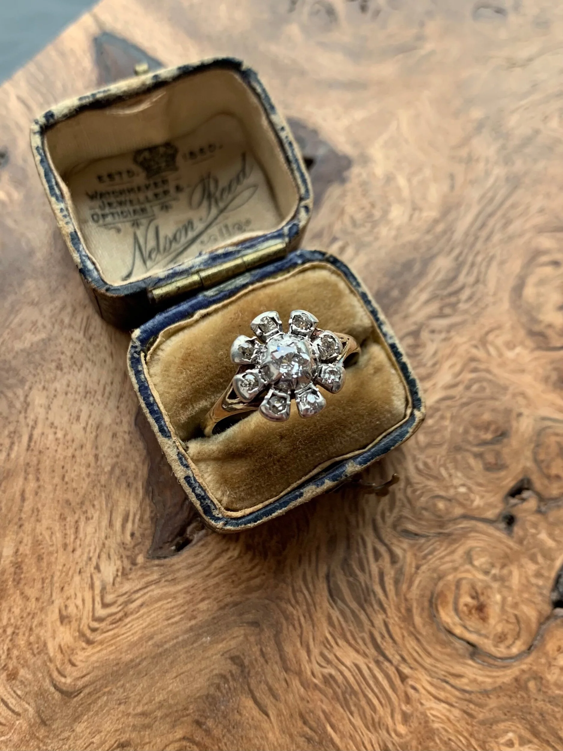 97AE0ED4-421B-4192-8EA5-07ED3FD8AC53