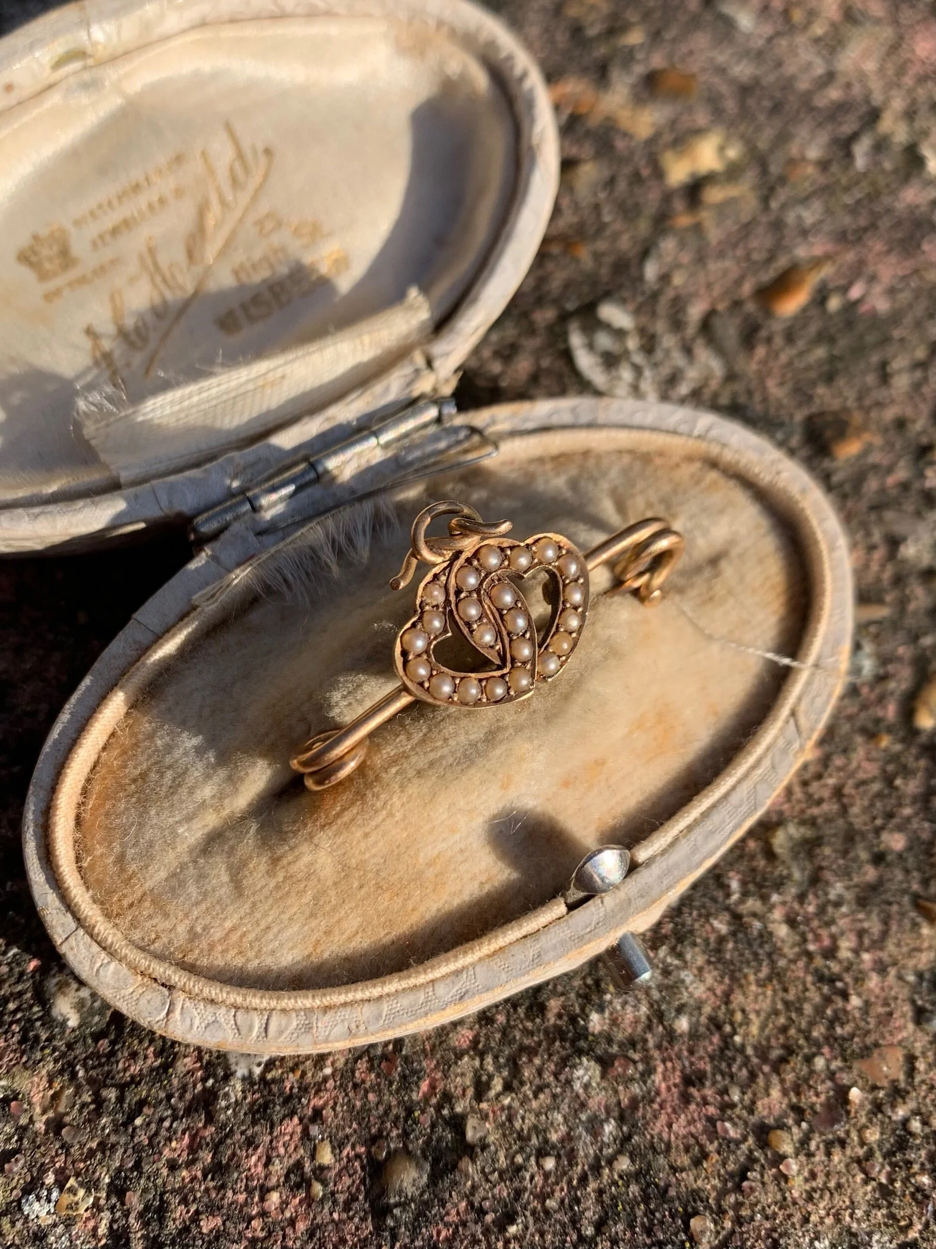 BF14EA4E-E7F1-446E-A3E9-97211E86B065