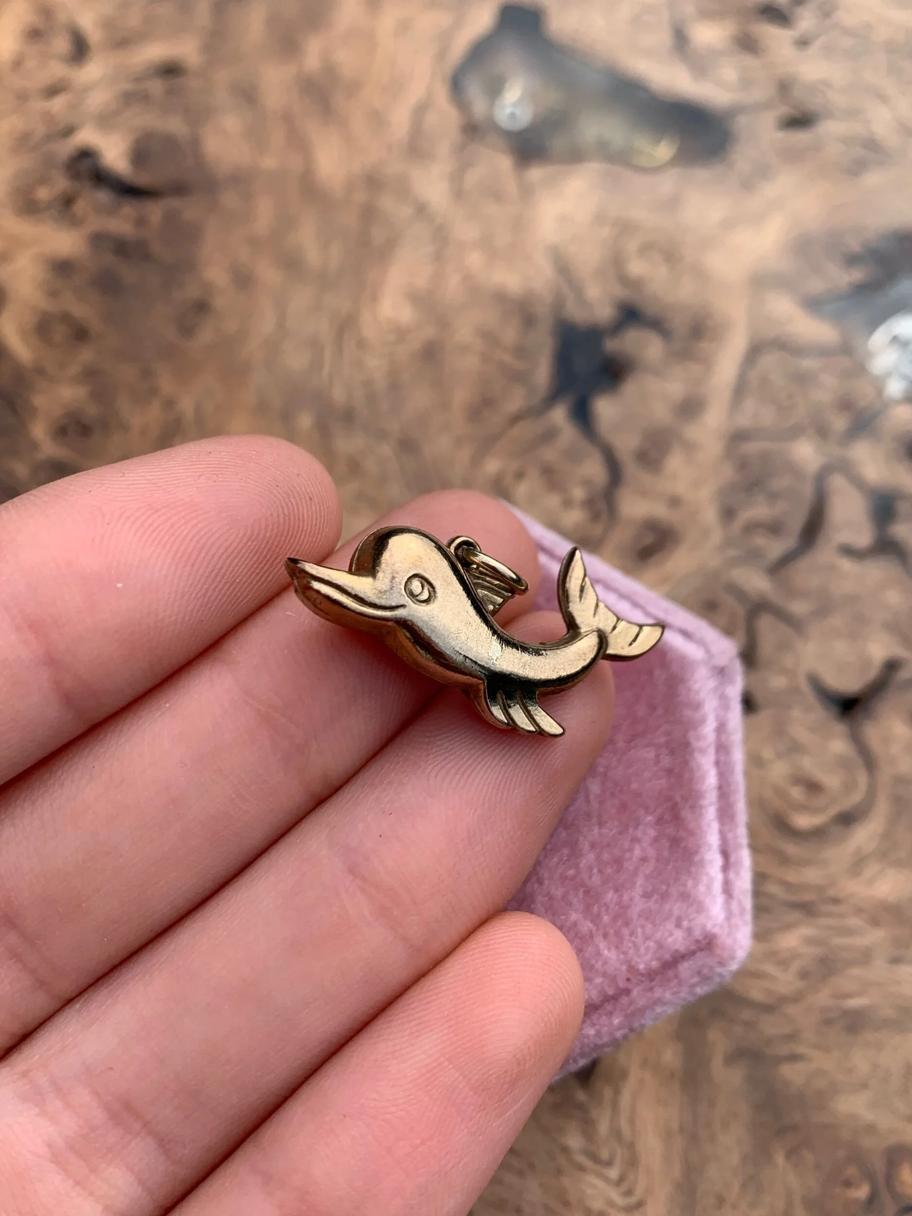 F6210C20-1C38-491F-9DE0-77D1F3C0EA8A