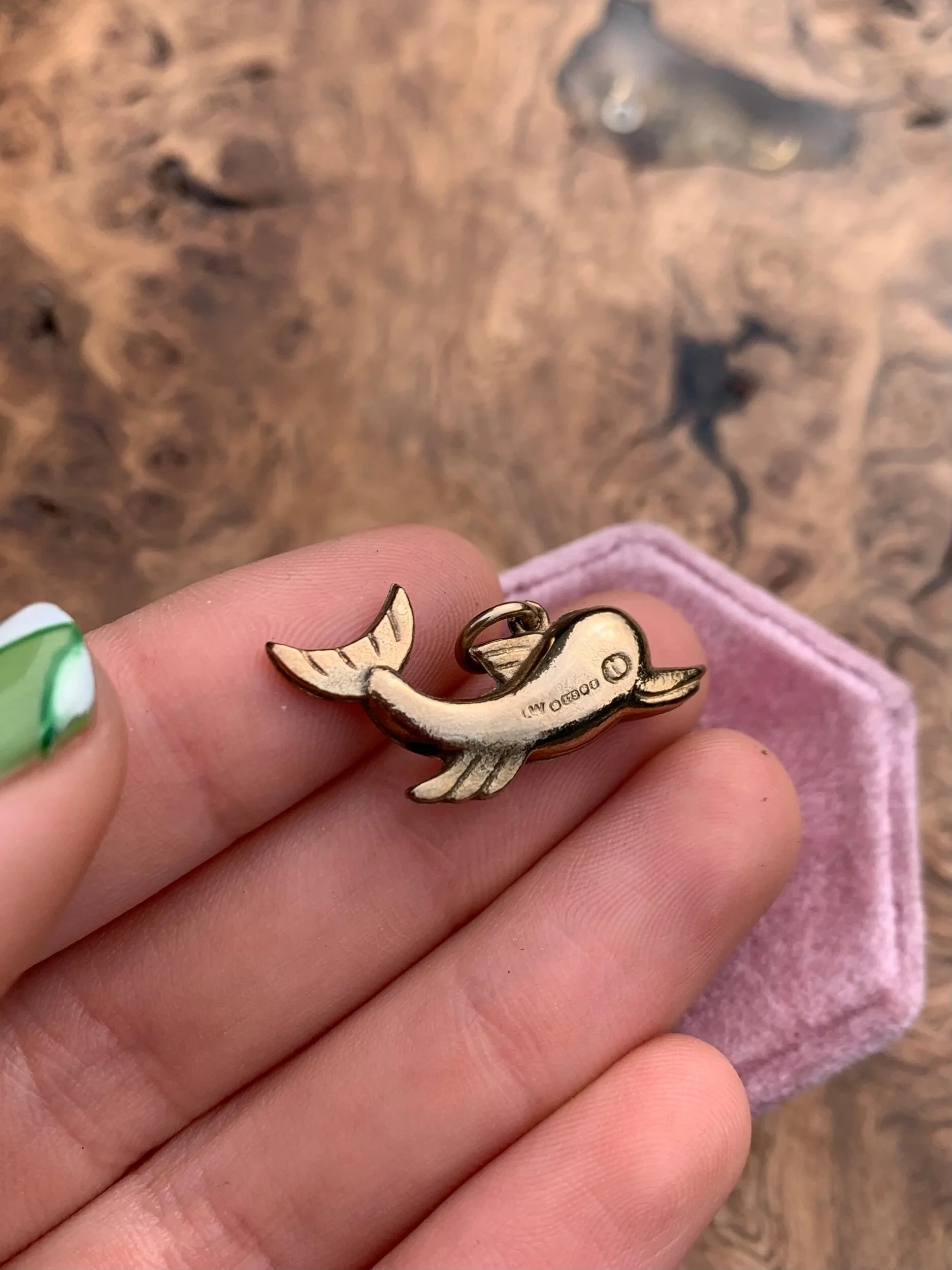 3B50BF41-4F17-4506-8F68-8CC4C8FDECFD