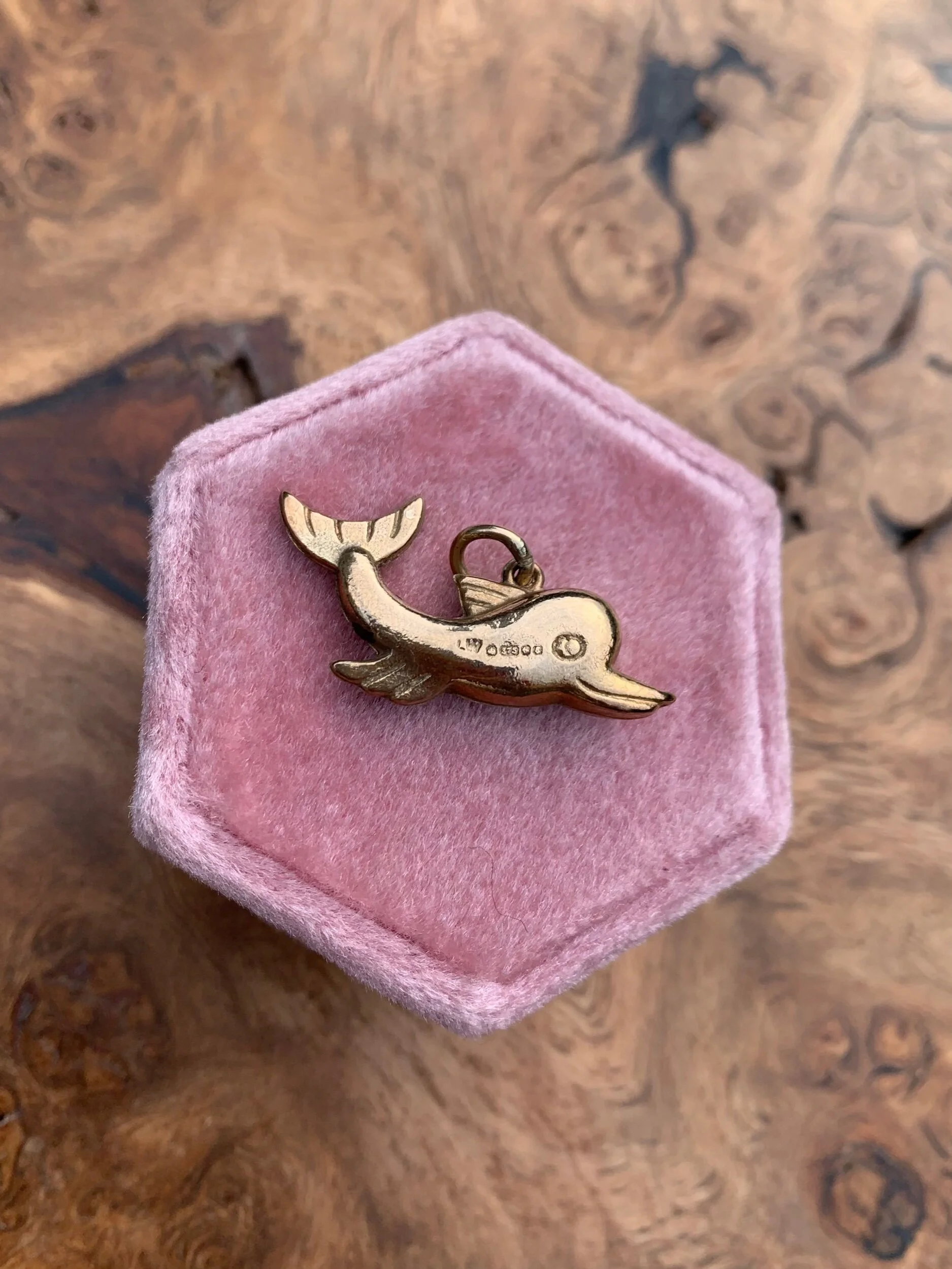 9839A2F6-68E2-4711-948C-A92EFBE77C45