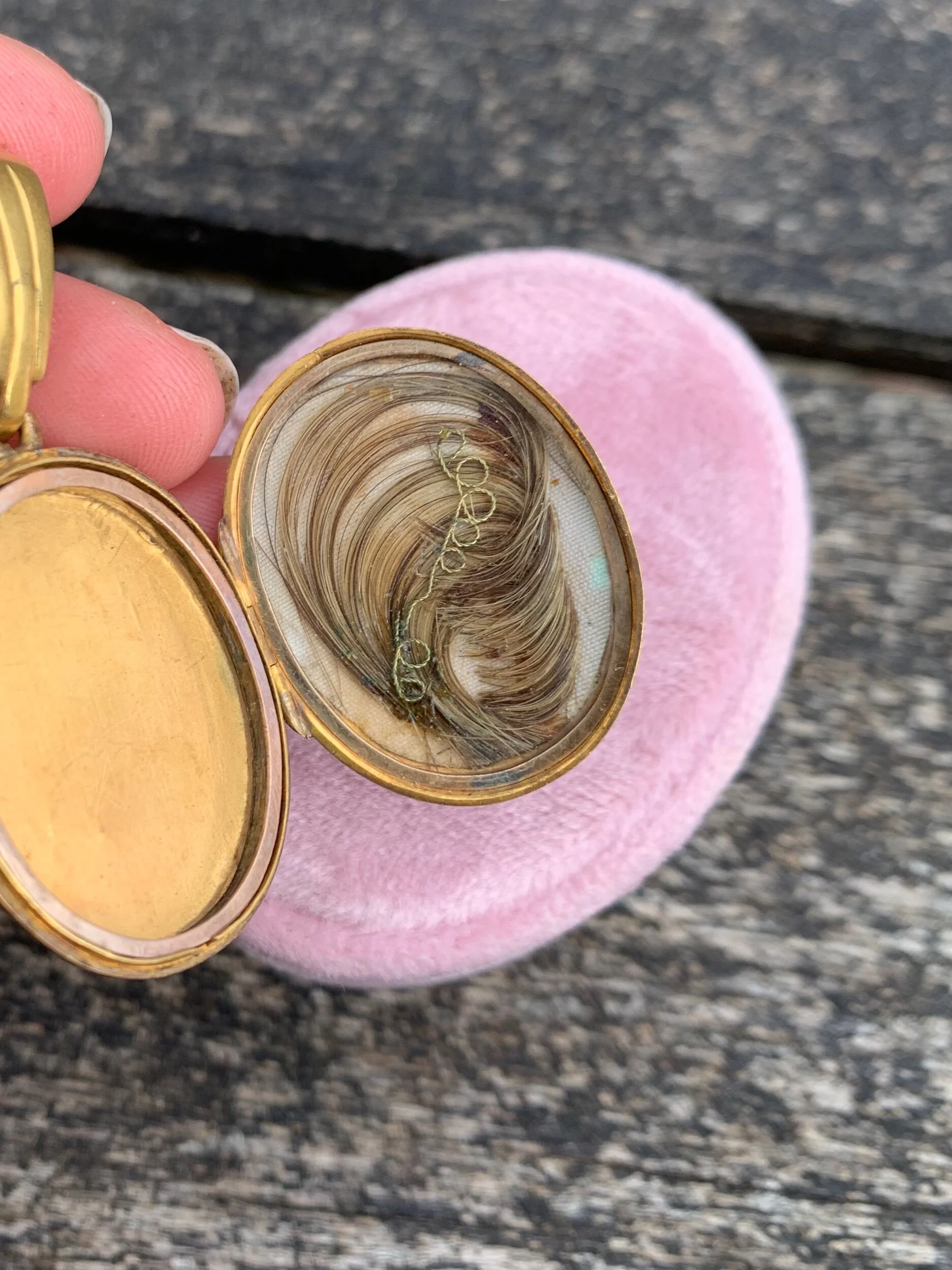 F65632FF-A915-4016-9DEC-BB611A071F05